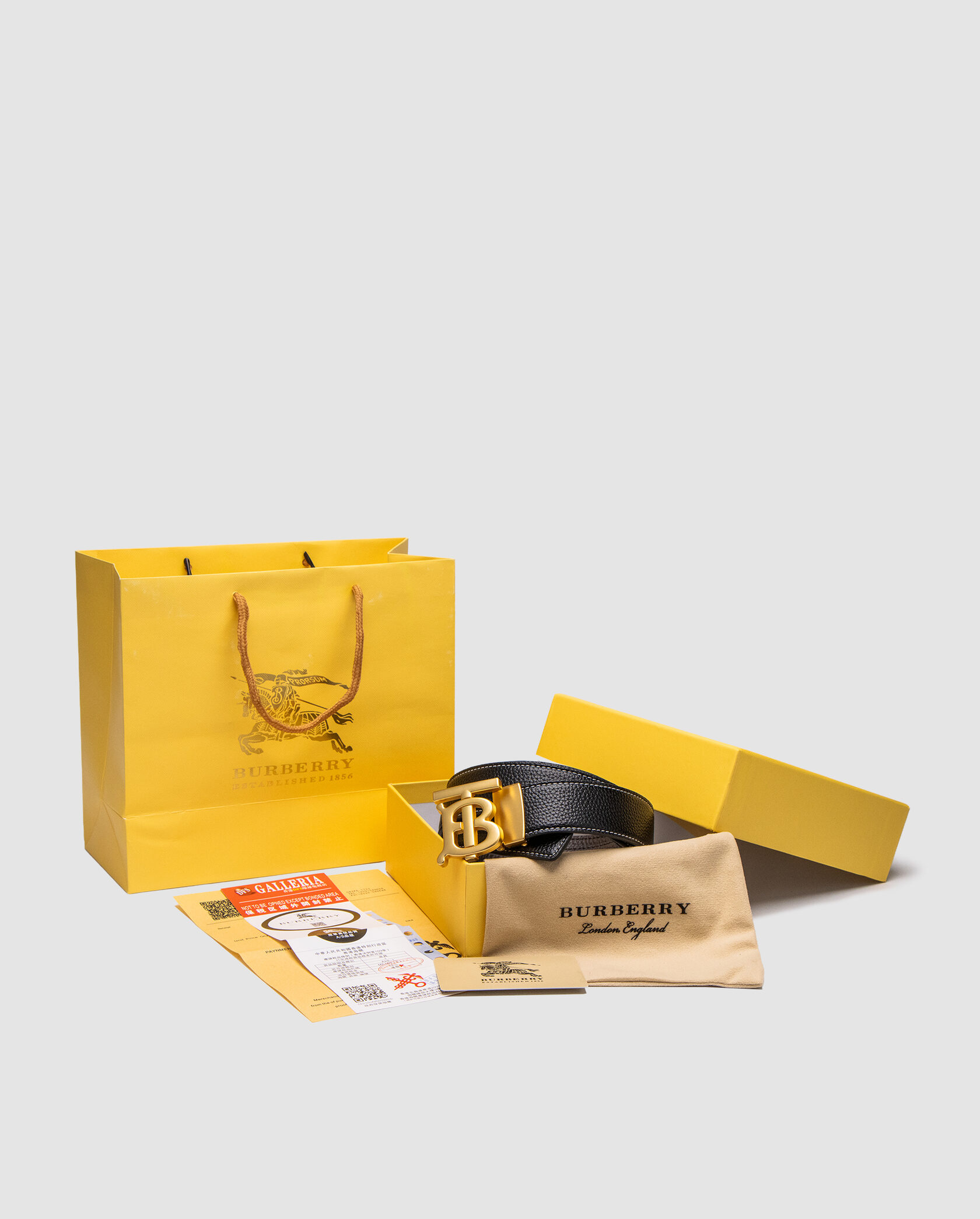 Burberry Leather TB Belt Black/Tan/Gold - 2