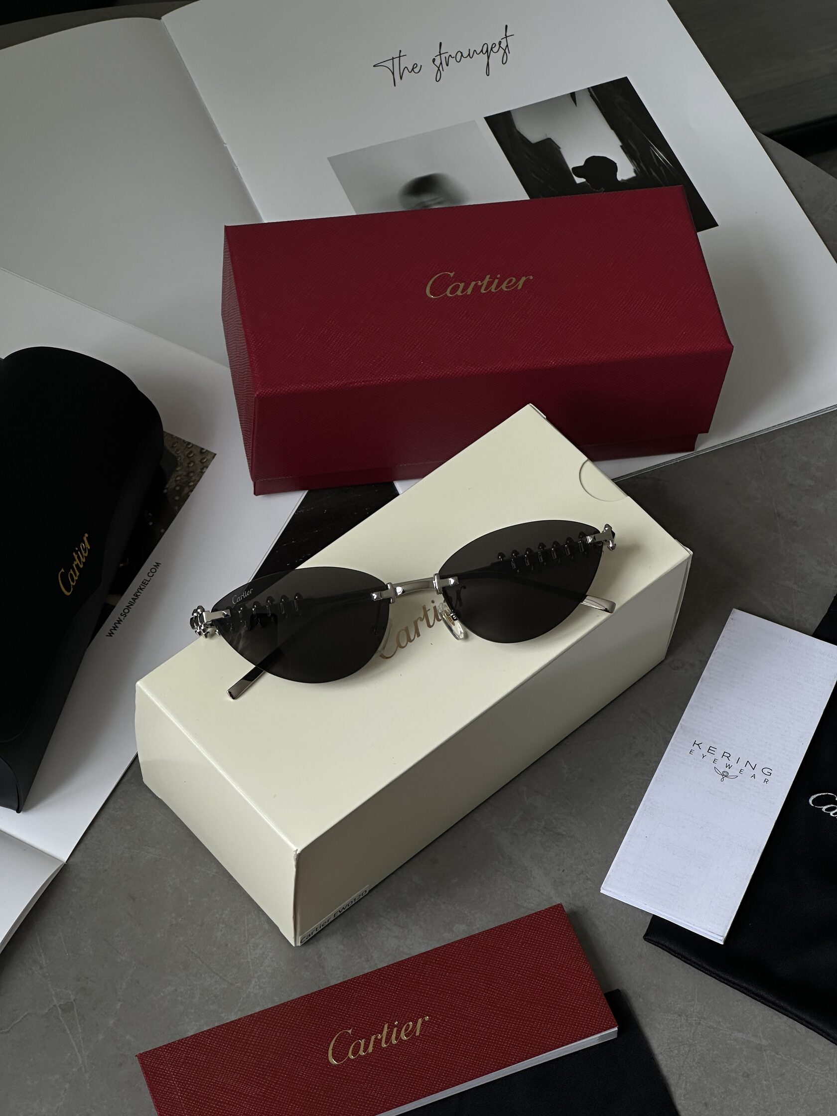 Cartier Clash Black/Silver CT0543S 001L cat.2 - 3