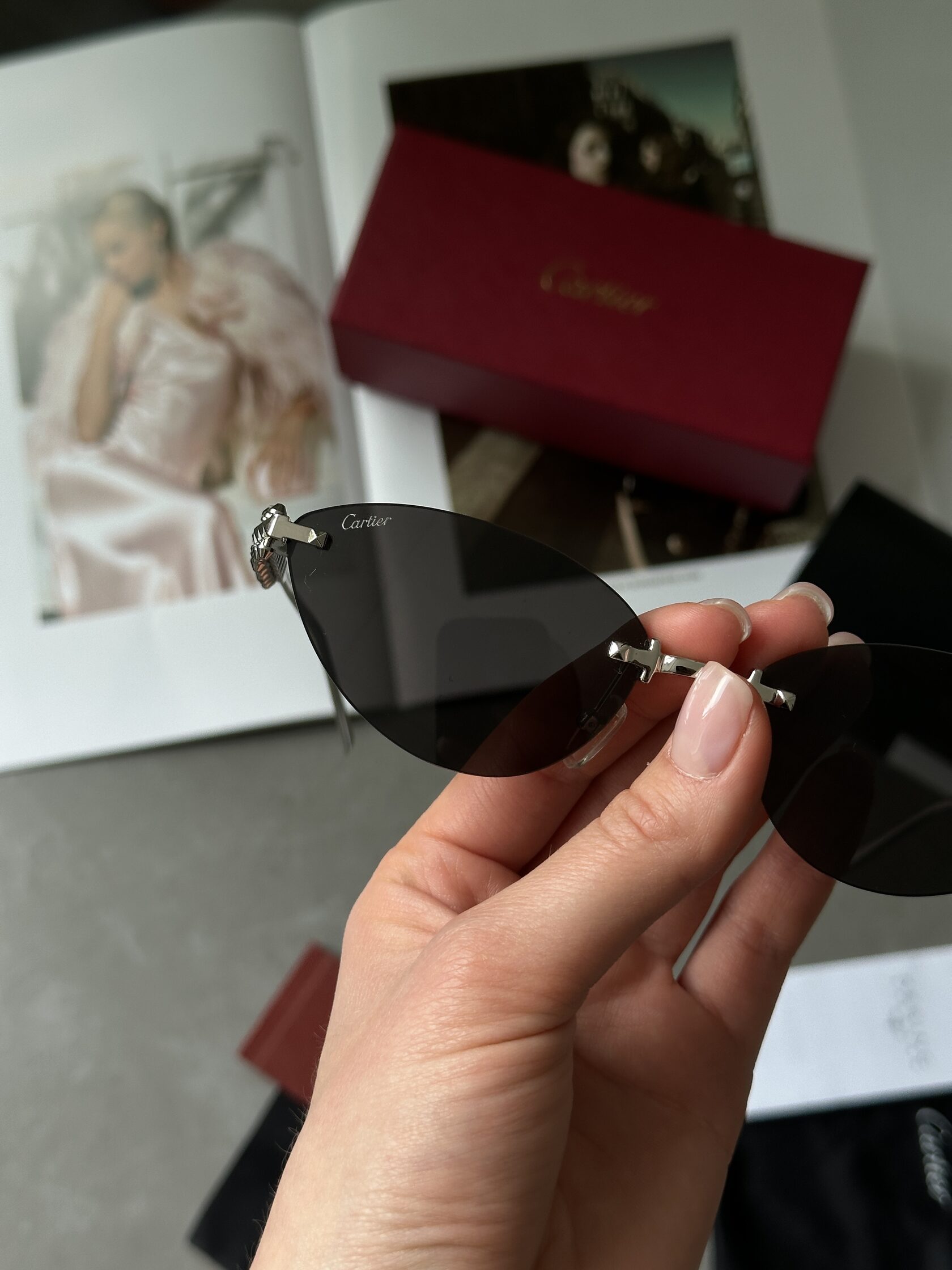 Cartier Clash Black/Silver CT0543S 001L cat.2 - 8