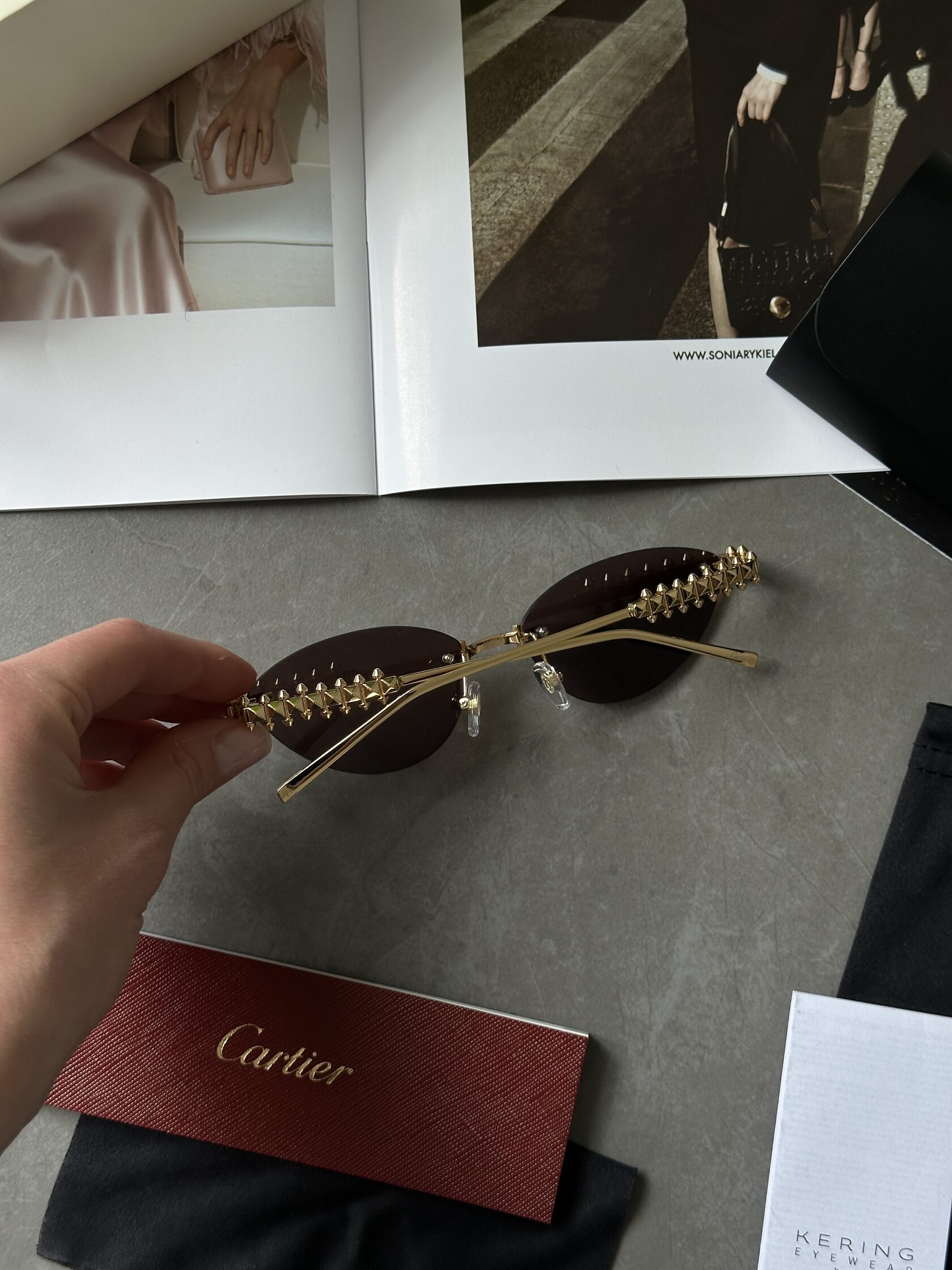 Cartier Clash Brown/Gold CT0543S 001L cat.2 - 11