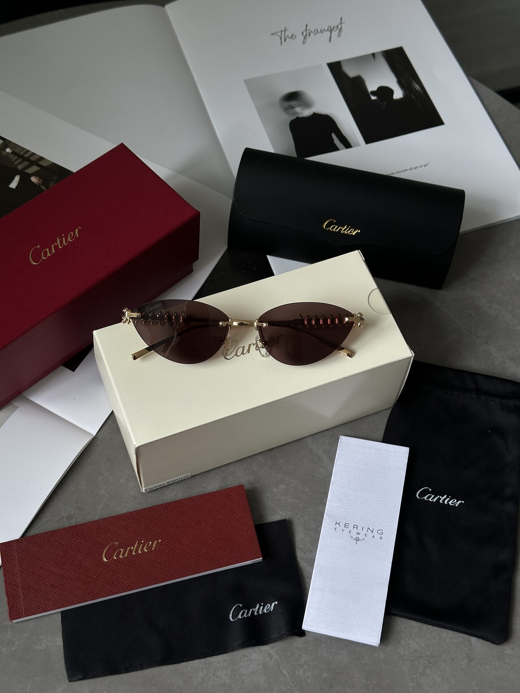 Cartier Clash Brown/Gold CT0543S 001L cat.2 - 4