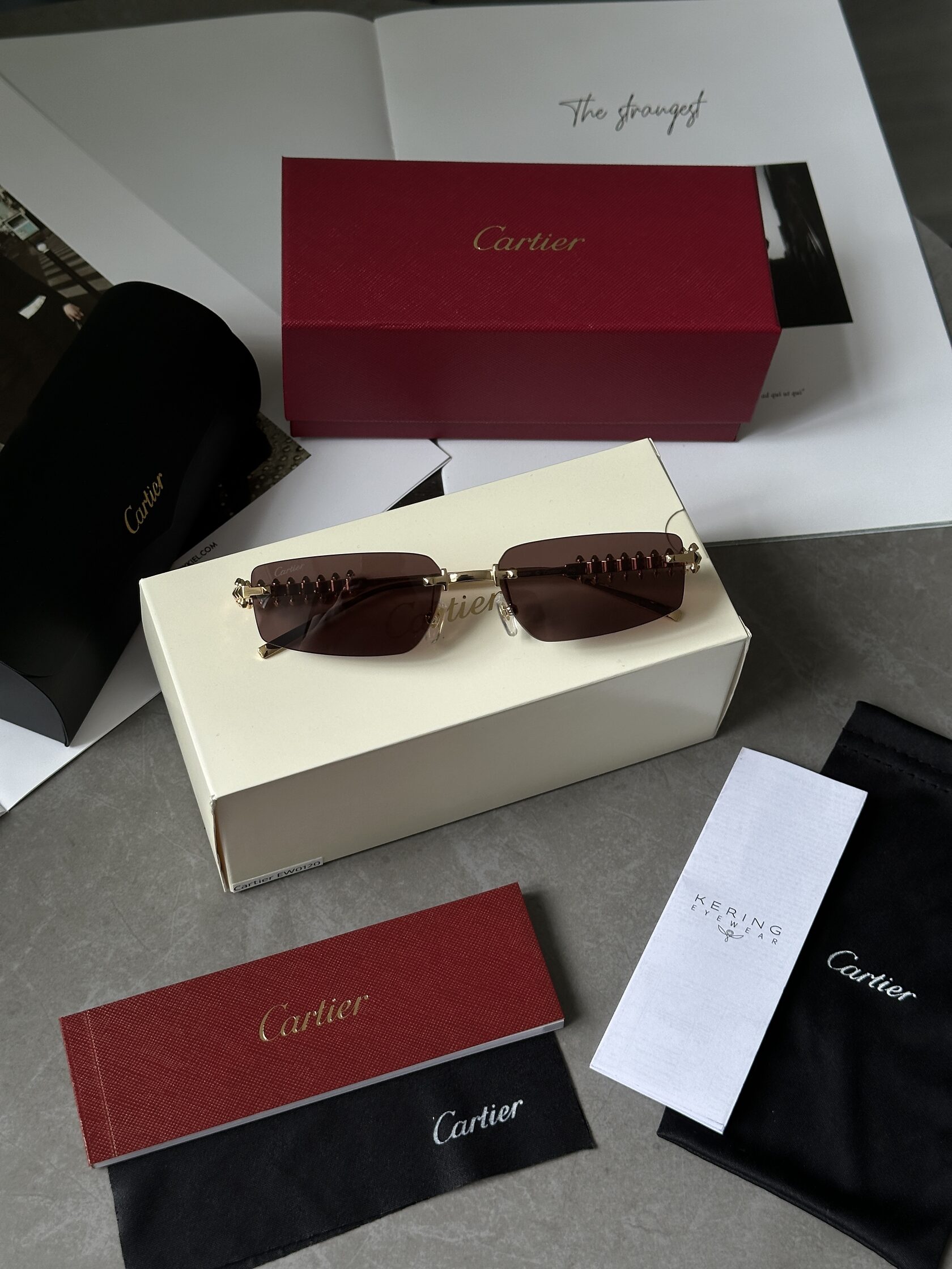 Cartier Clash Brown/Gold CT0545S 001 L - 2