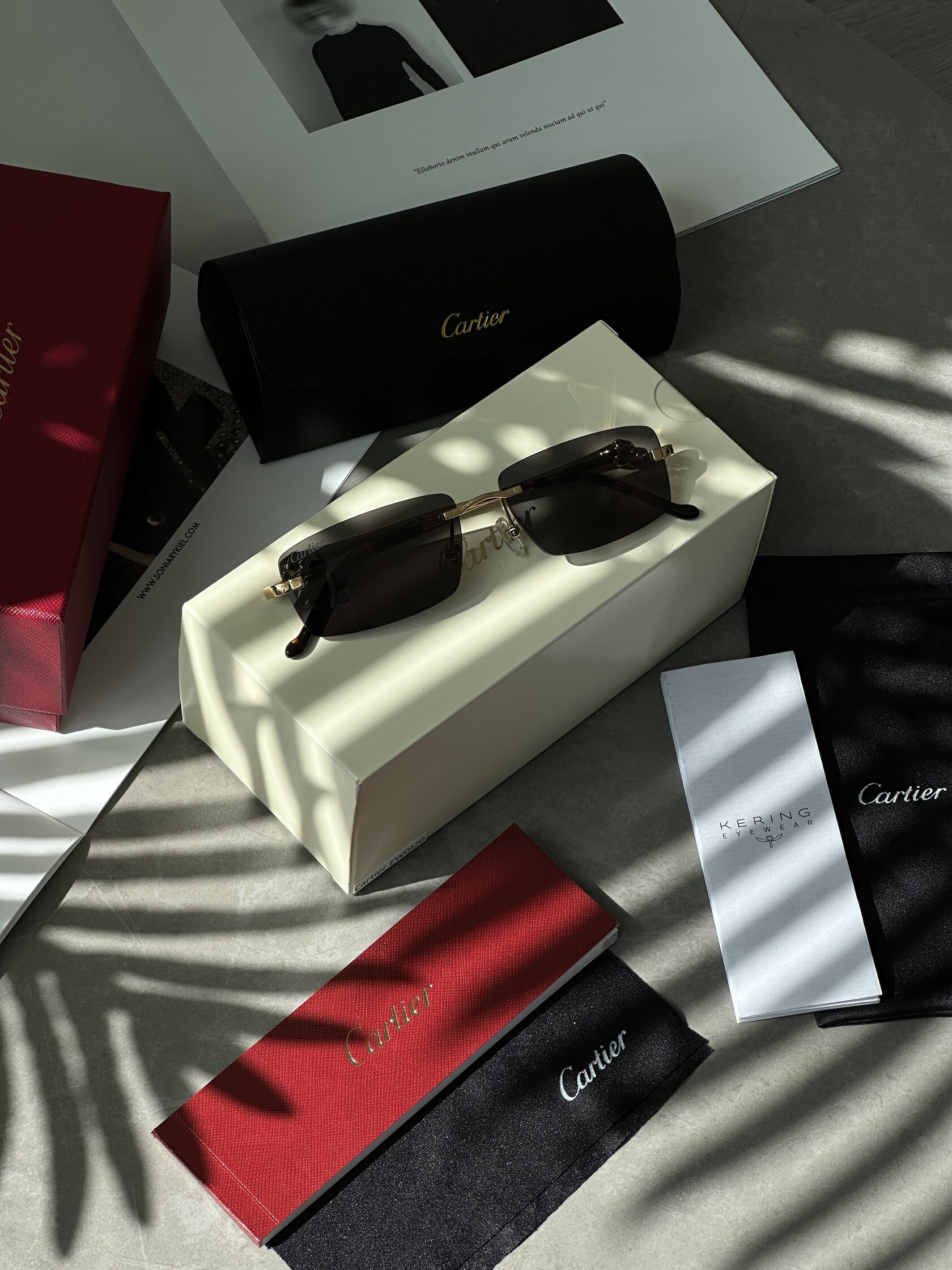 Cartier Panthère Black/Gold CT0430S 004 AD - 3