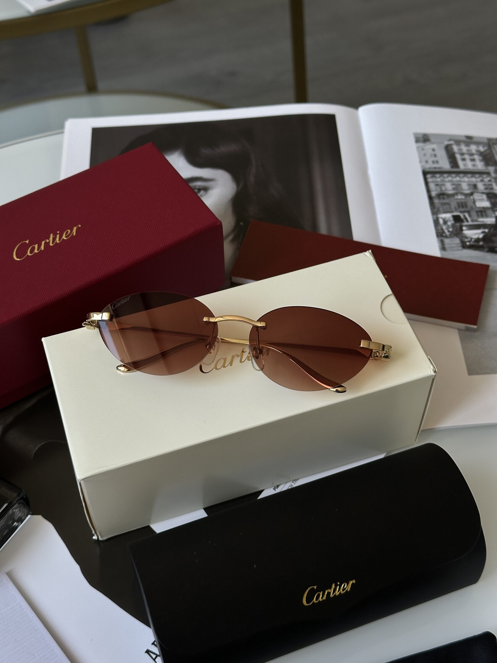 Cartier Panthère Brown/Gold CT0504S - 2