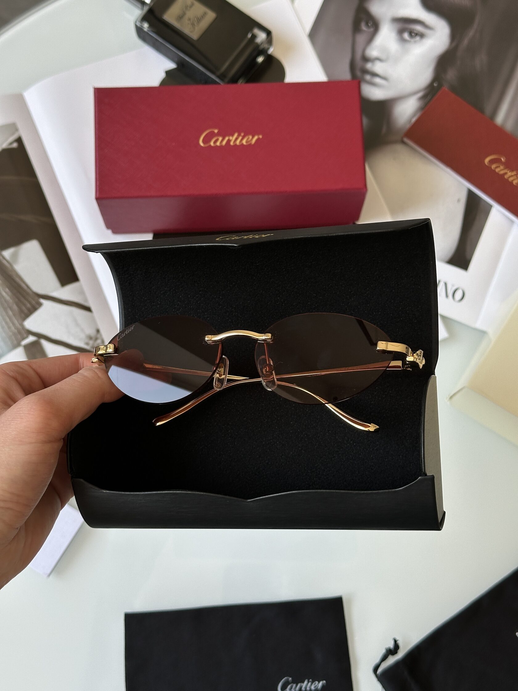 Cartier Panthère Brown/Gold CT0504S - 4