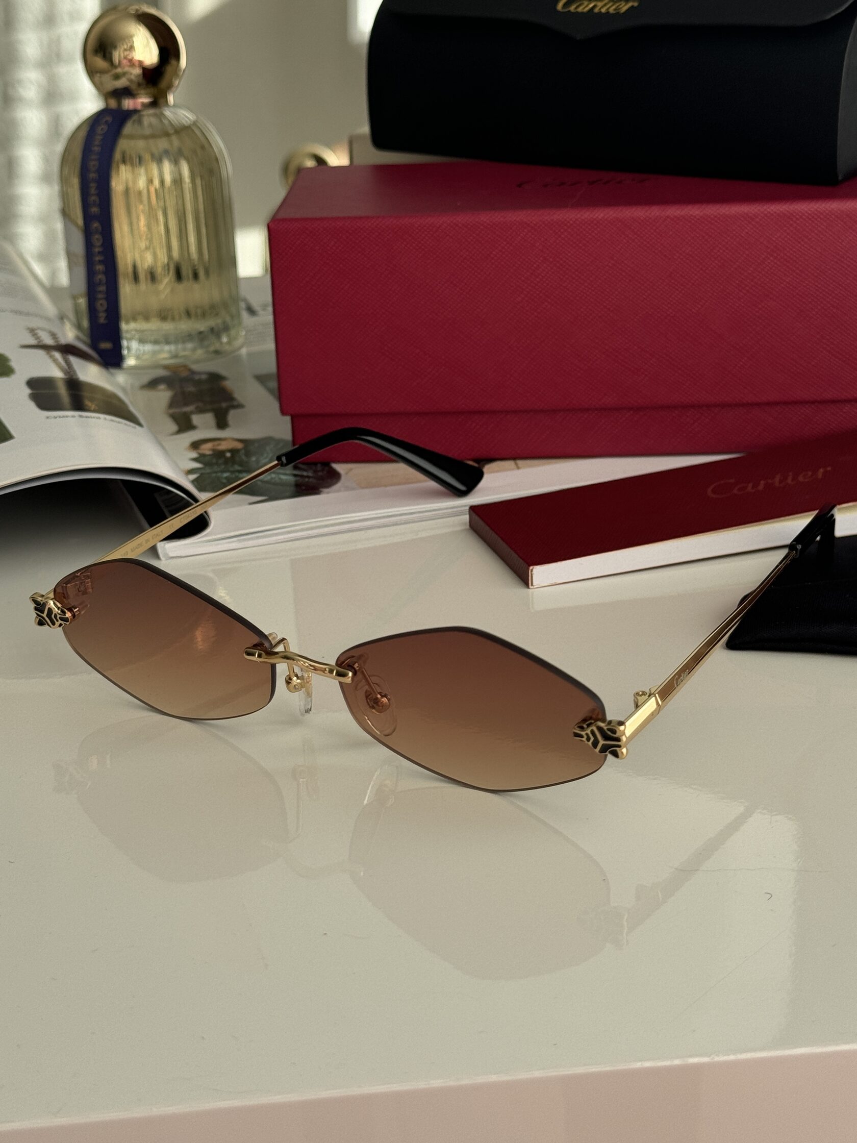 Cartier Panthère Losange Brown/Gold CT0433S - 7