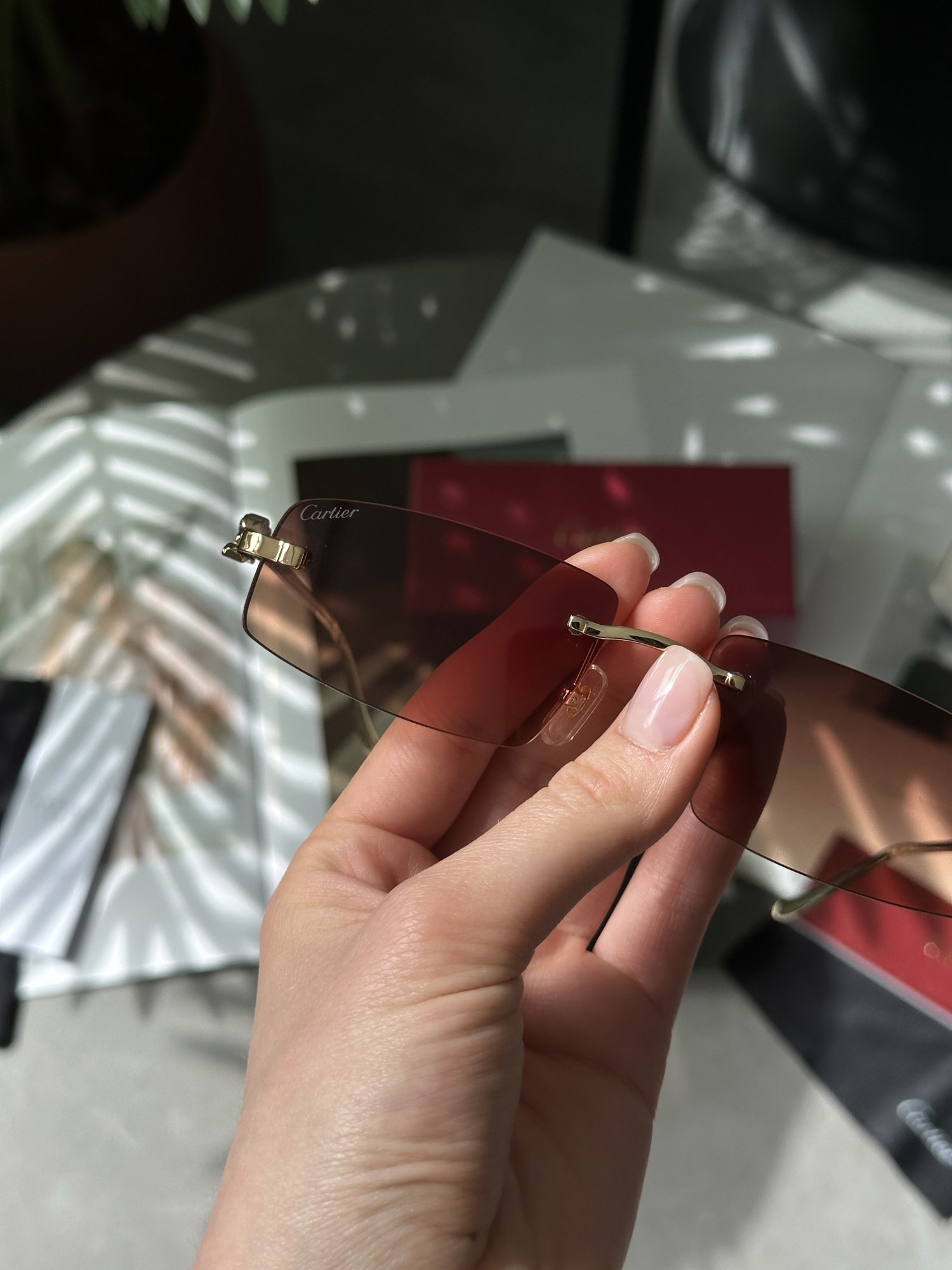 Cartier Panthère Brown/Gold - 13