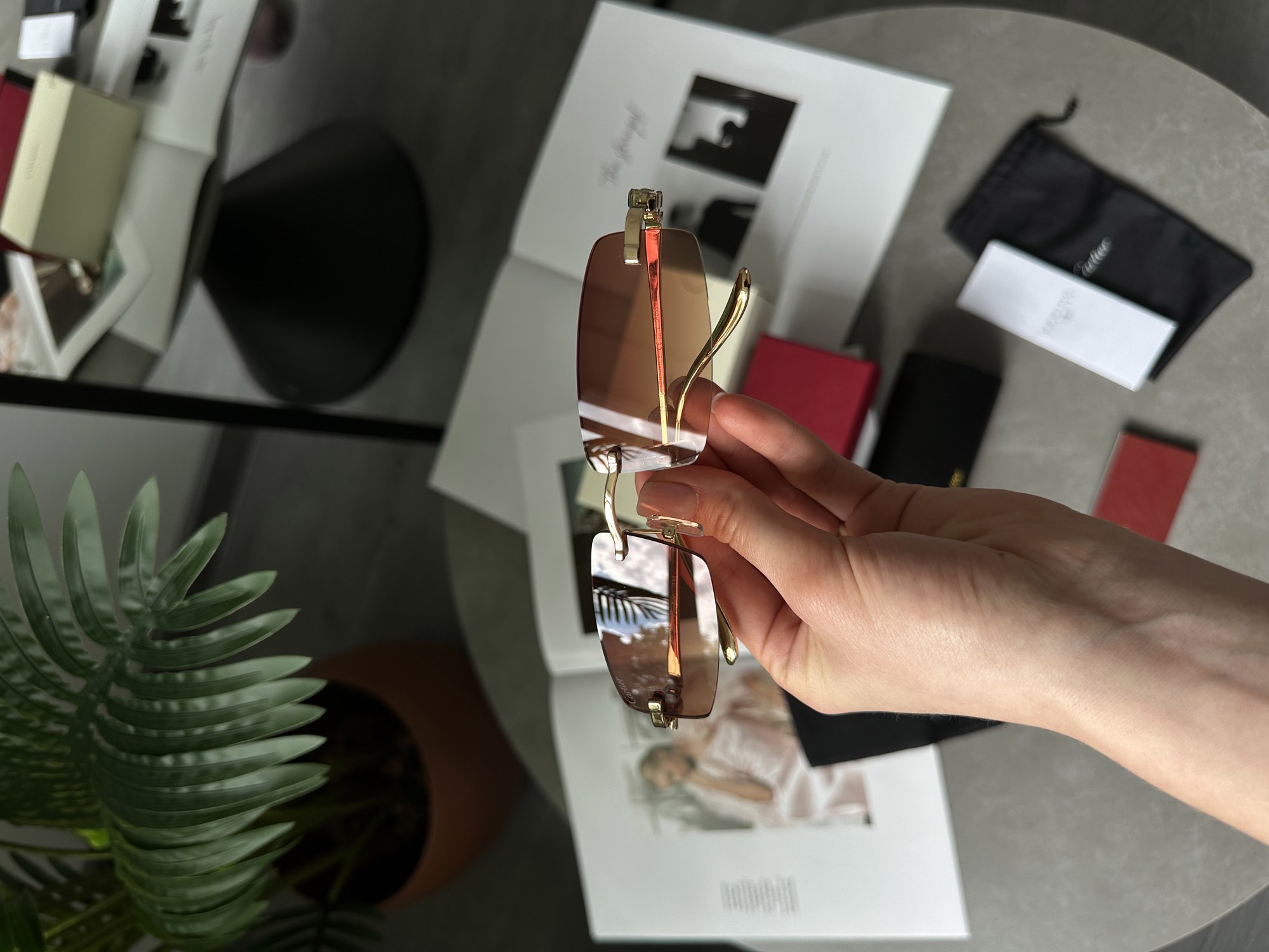 Cartier Panthère Brown/Gold - 8