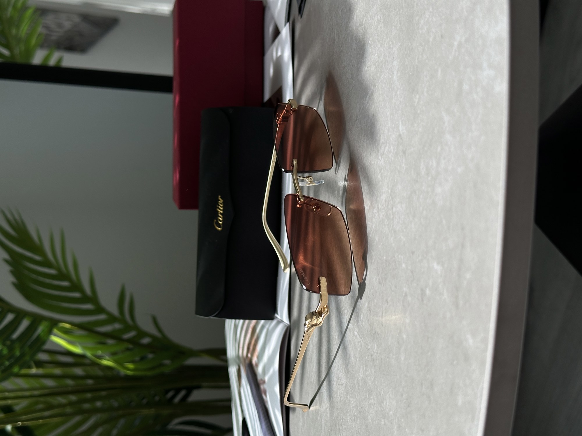 Cartier Panthère Brown/Gold - 7
