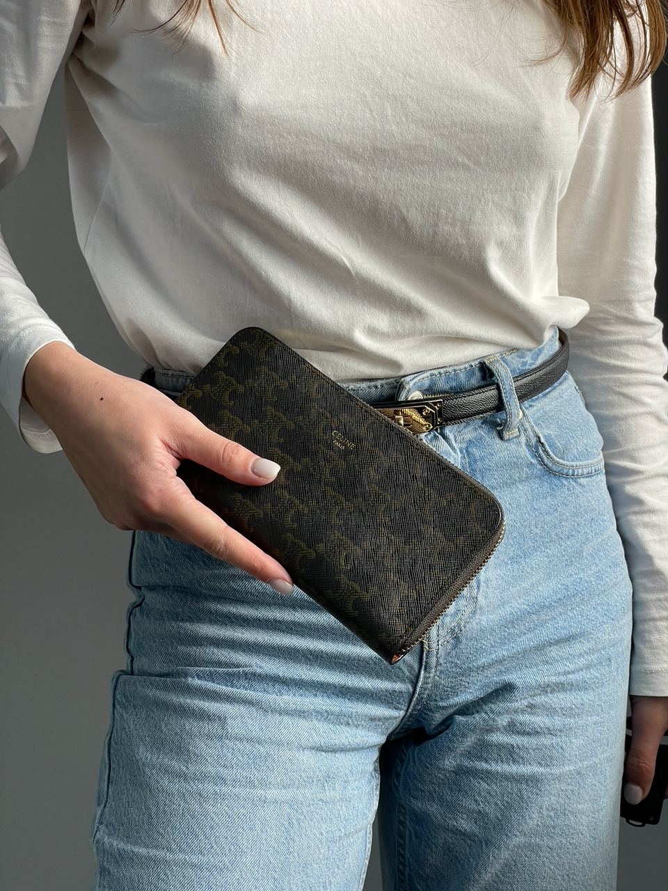 Celine Large Zipped Wallet in Triomphe Canvas Brown - 4