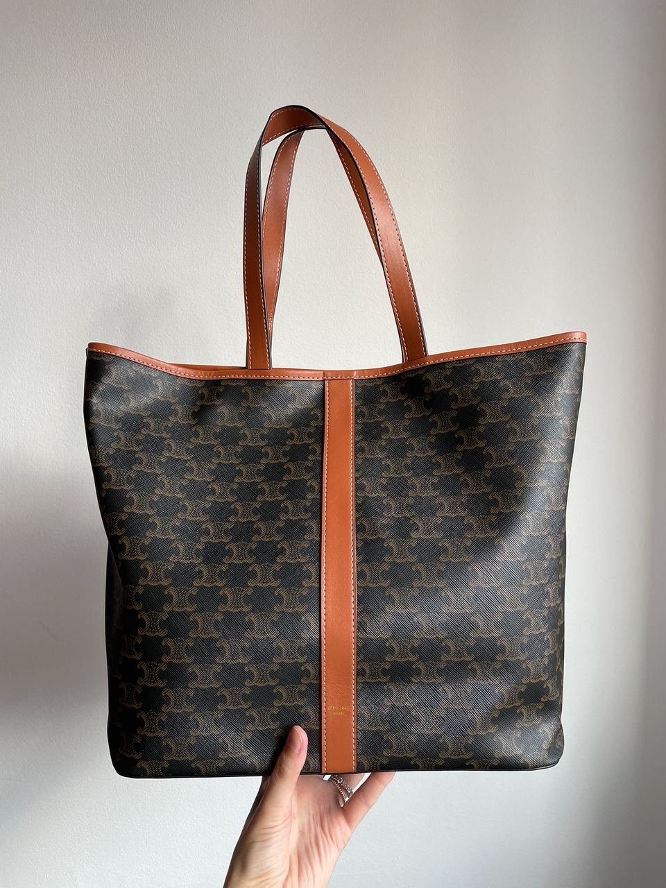 Celine Medium Cabas In Triomphe Canvas Tan - 9