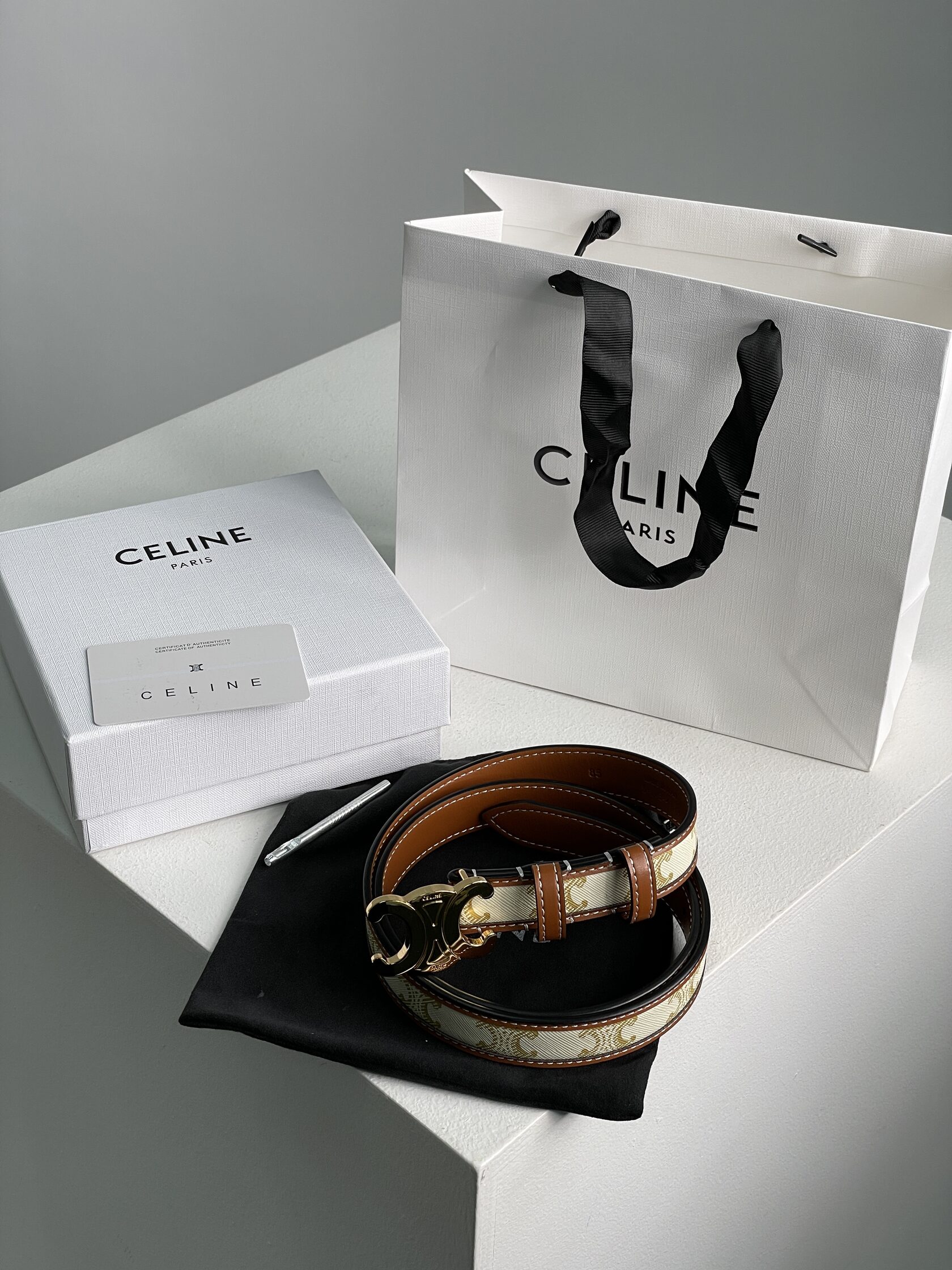 Celine Medium Triomphe Belt In Triomphe Canvas And Calfskin White - 2