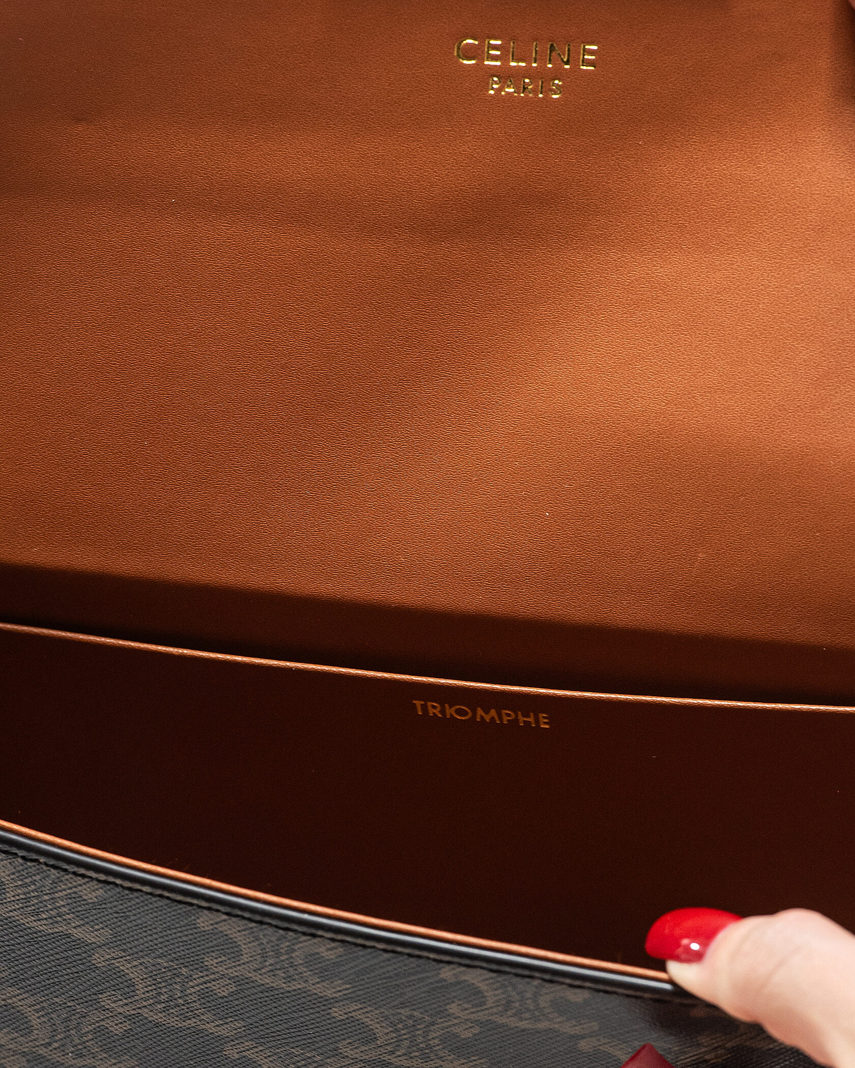 Celine Teen Triomphe Bag in Triomphe Canvas Brown/Tan - 13