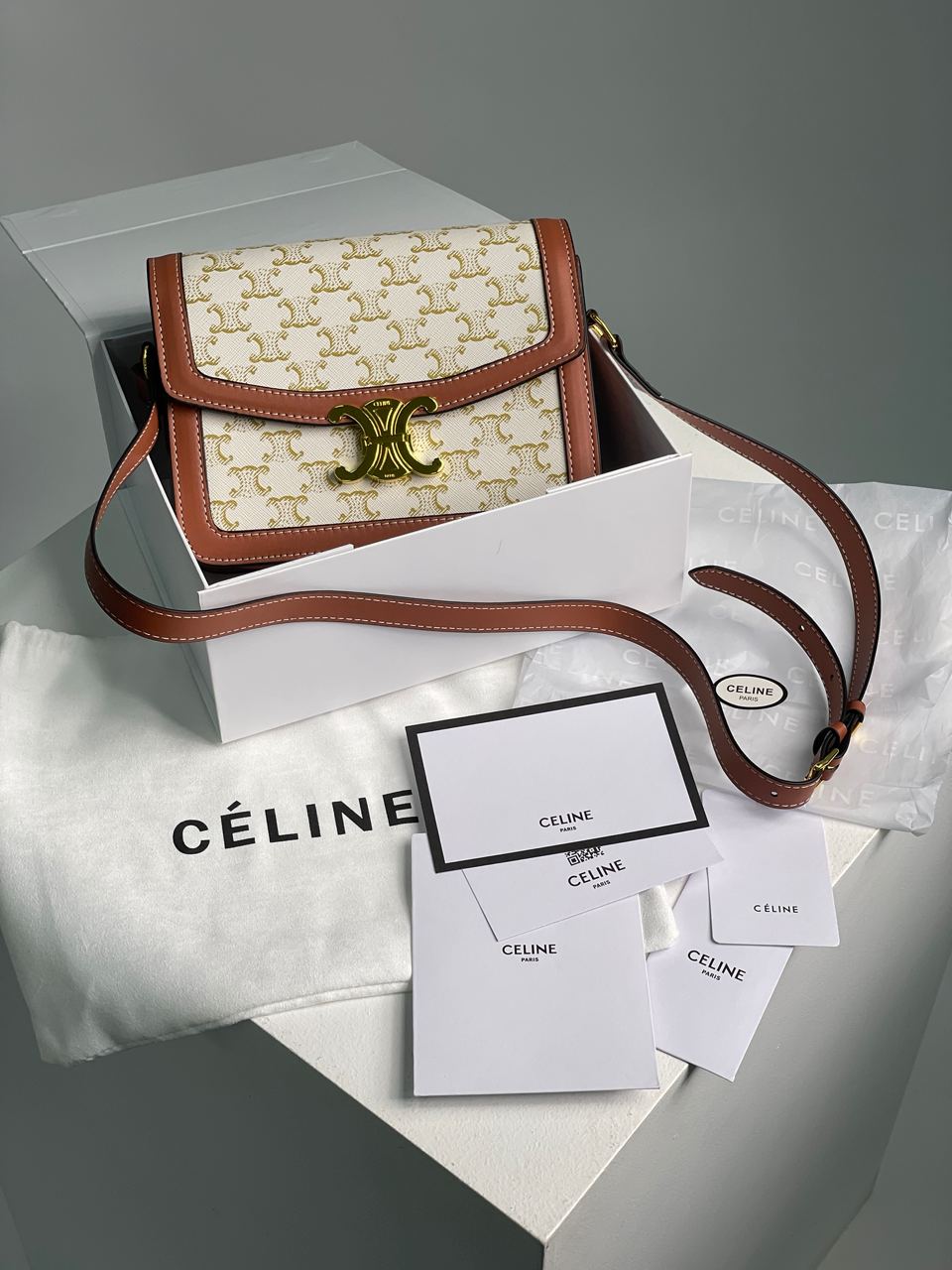 Celine The Triomphe Bag Canvas and Calfskin White - 2