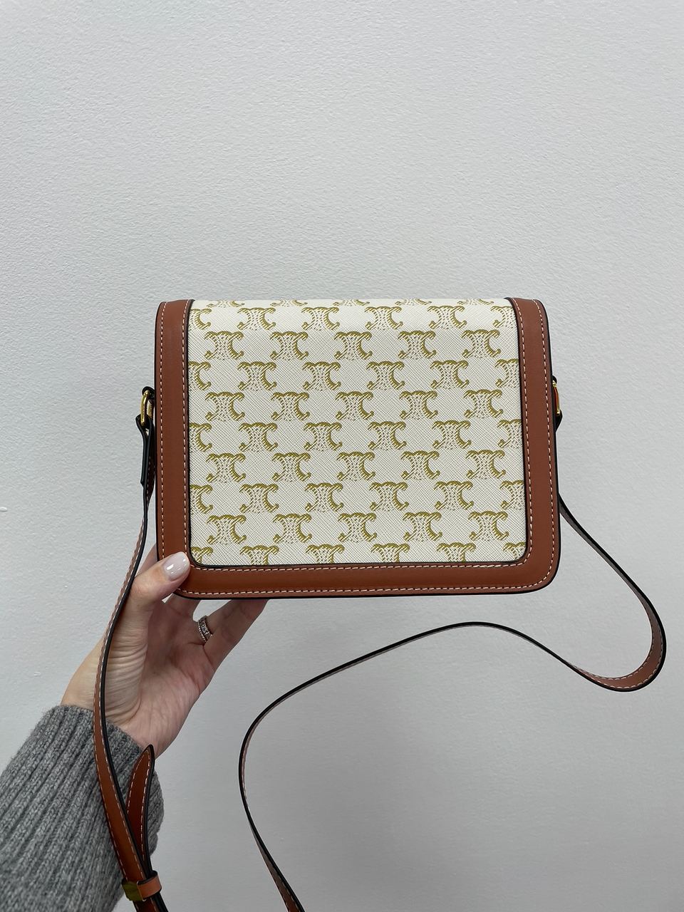 Celine The Triomphe Bag Canvas and Calfskin White - 9