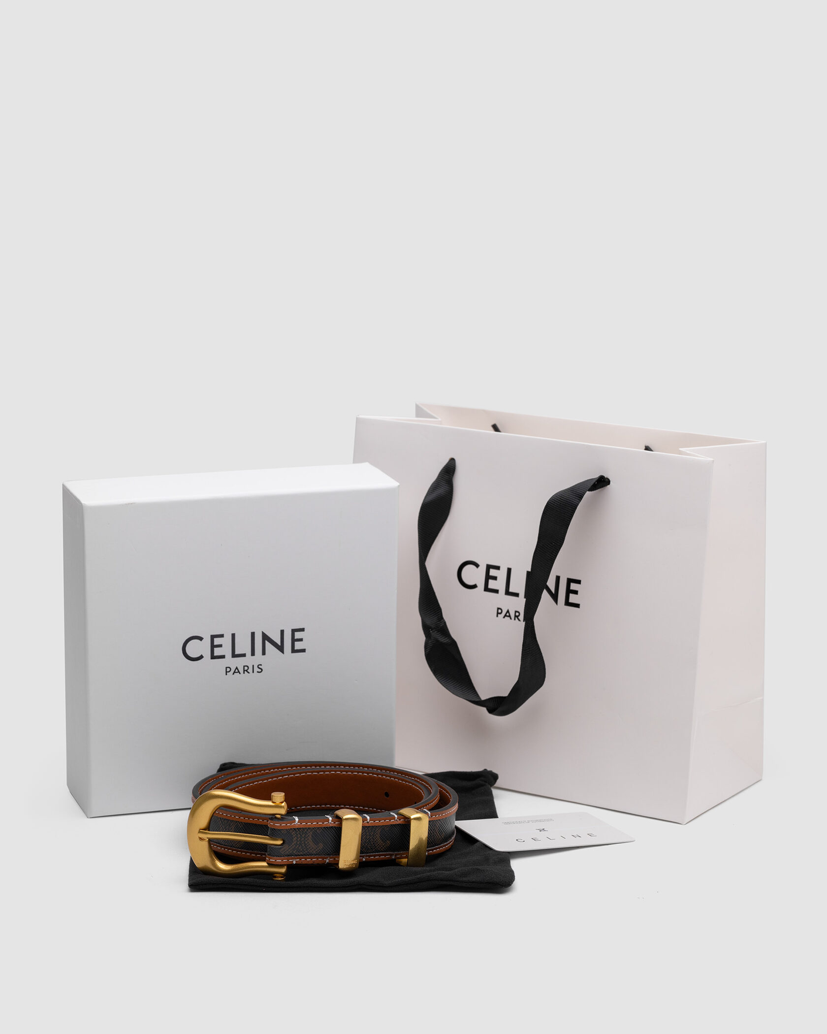 Celine Western Belt in Triomphe Canvas and Calfskin / Gold - 2