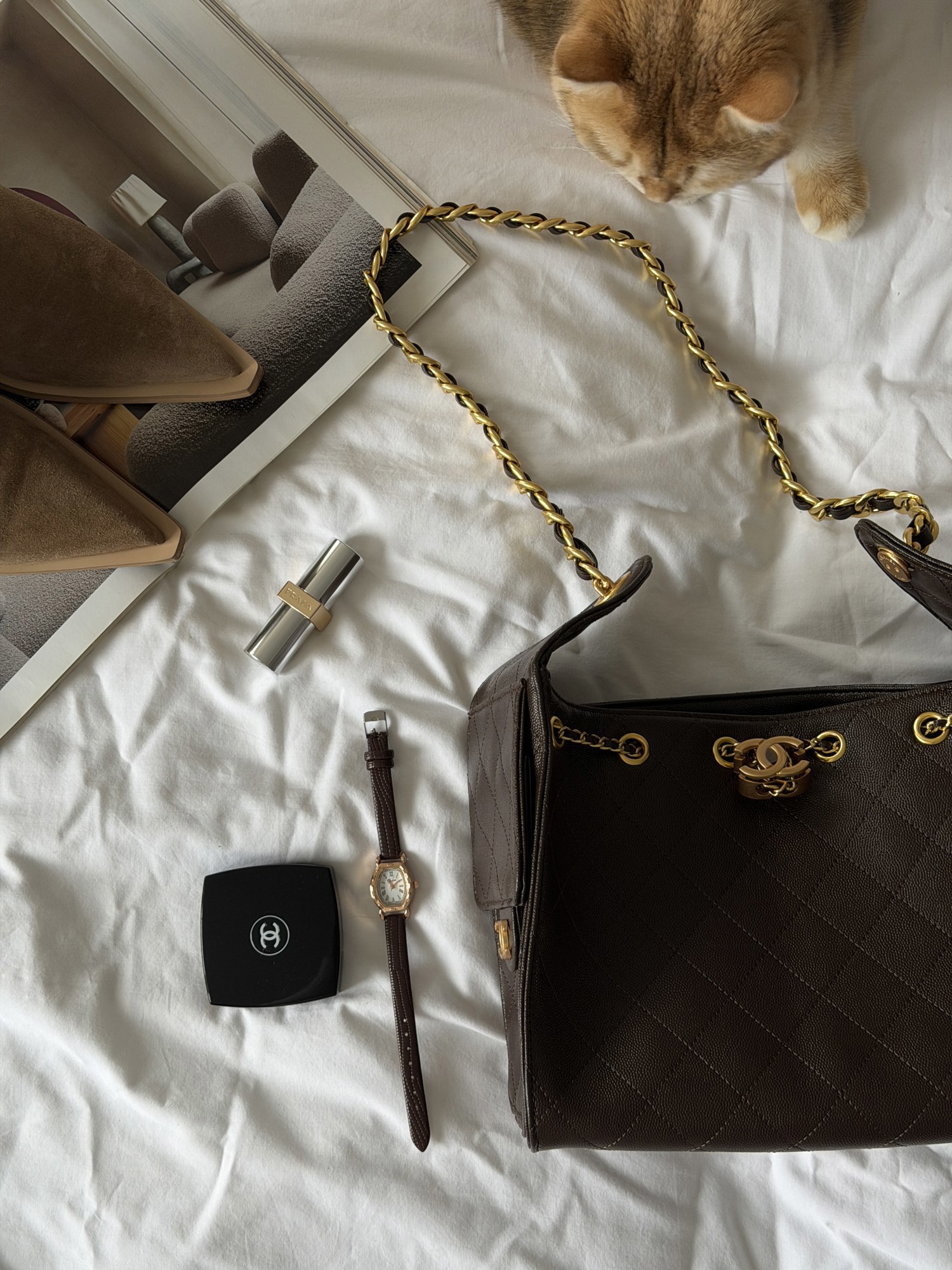 Chanel 25 Small Handbag Brown/Gold - 6