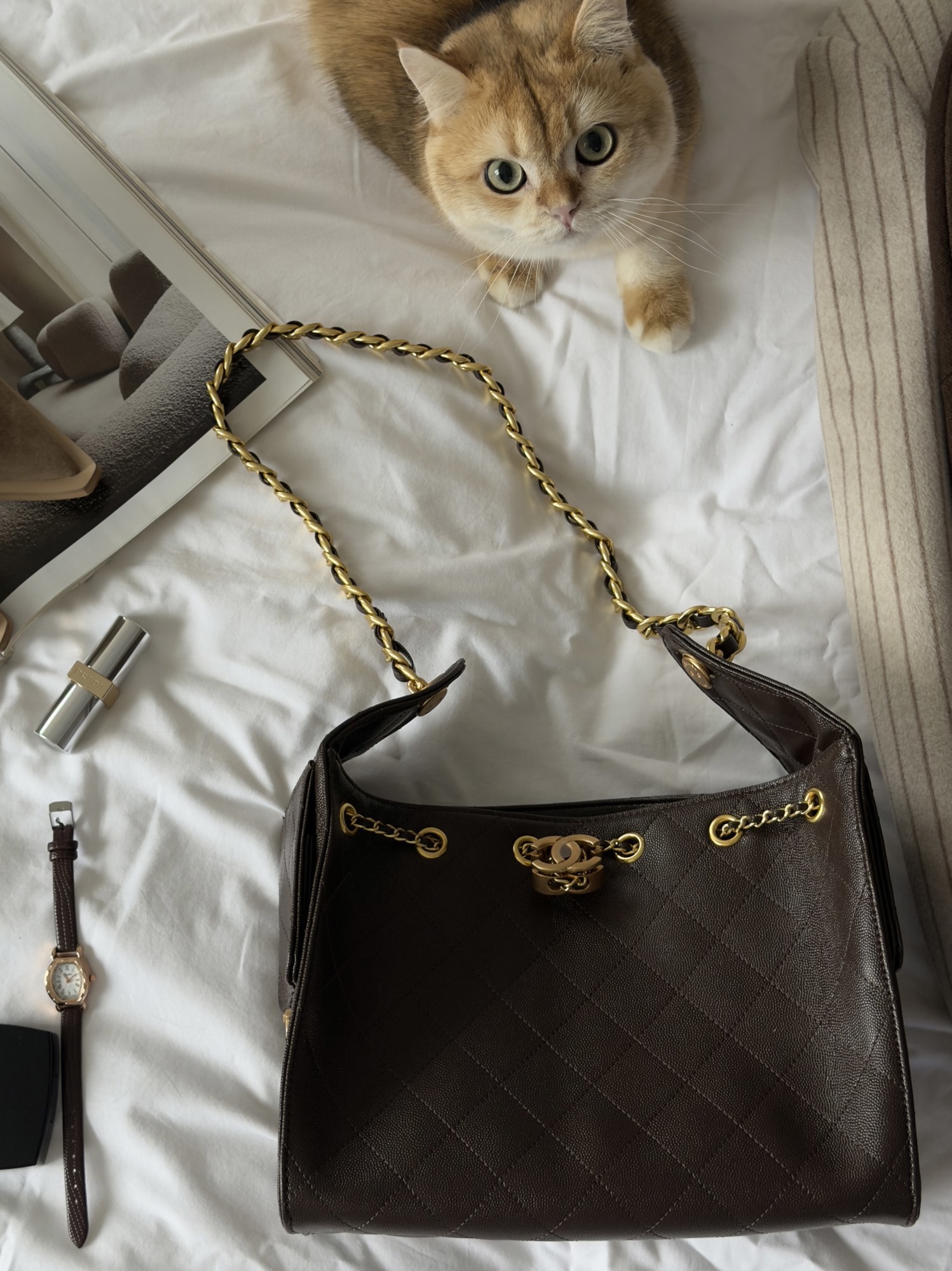 Chanel 25 Small Handbag Brown/Gold - 4
