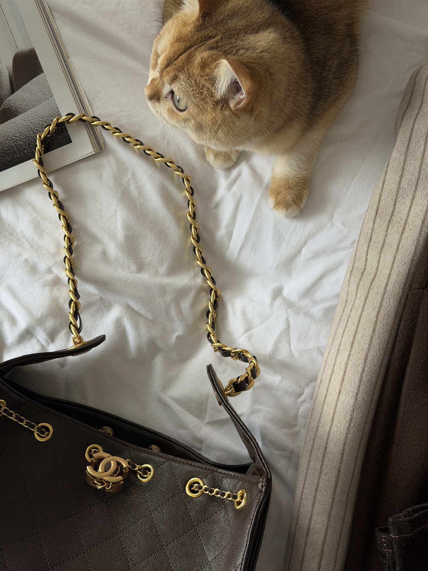 Chanel 25 Small Handbag Brown/Gold - 2