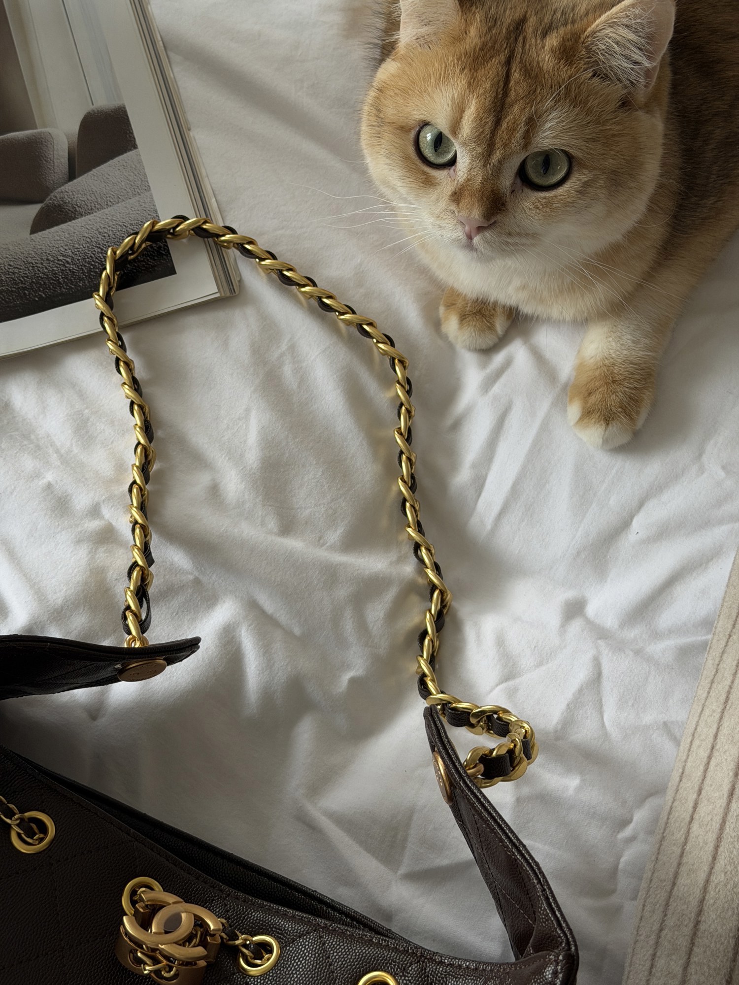 Chanel 25 Small Handbag Brown/Gold - 5