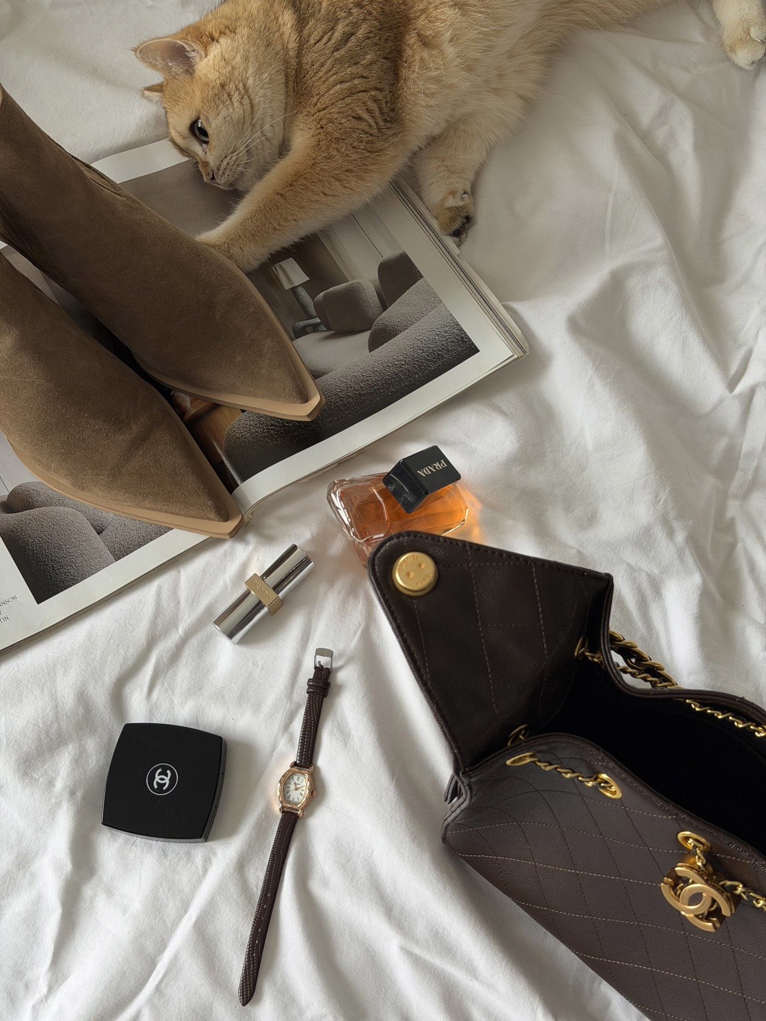 Chanel 25 Small Handbag Brown/Gold - 15