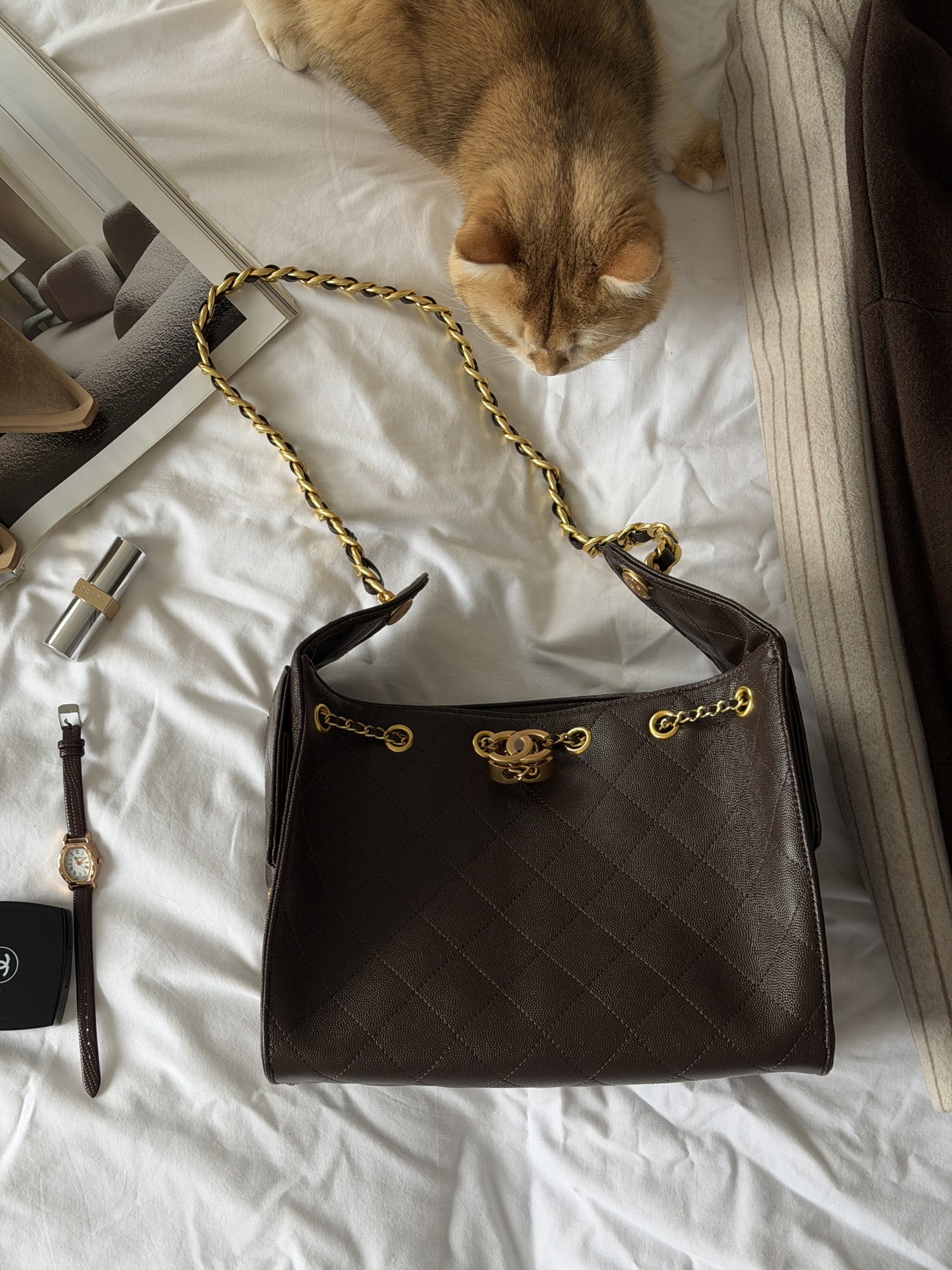 Chanel 25 Small Handbag Brown/Gold - 10
