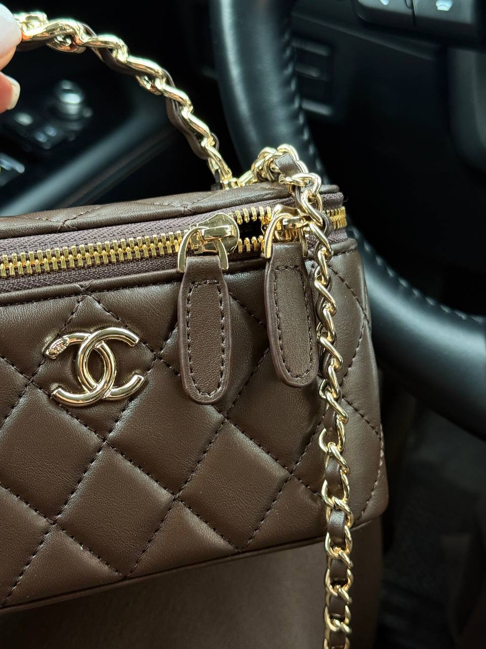 Chanel Classic Brown Lambskin Pearl Crush Vanity Bag Gold - 6