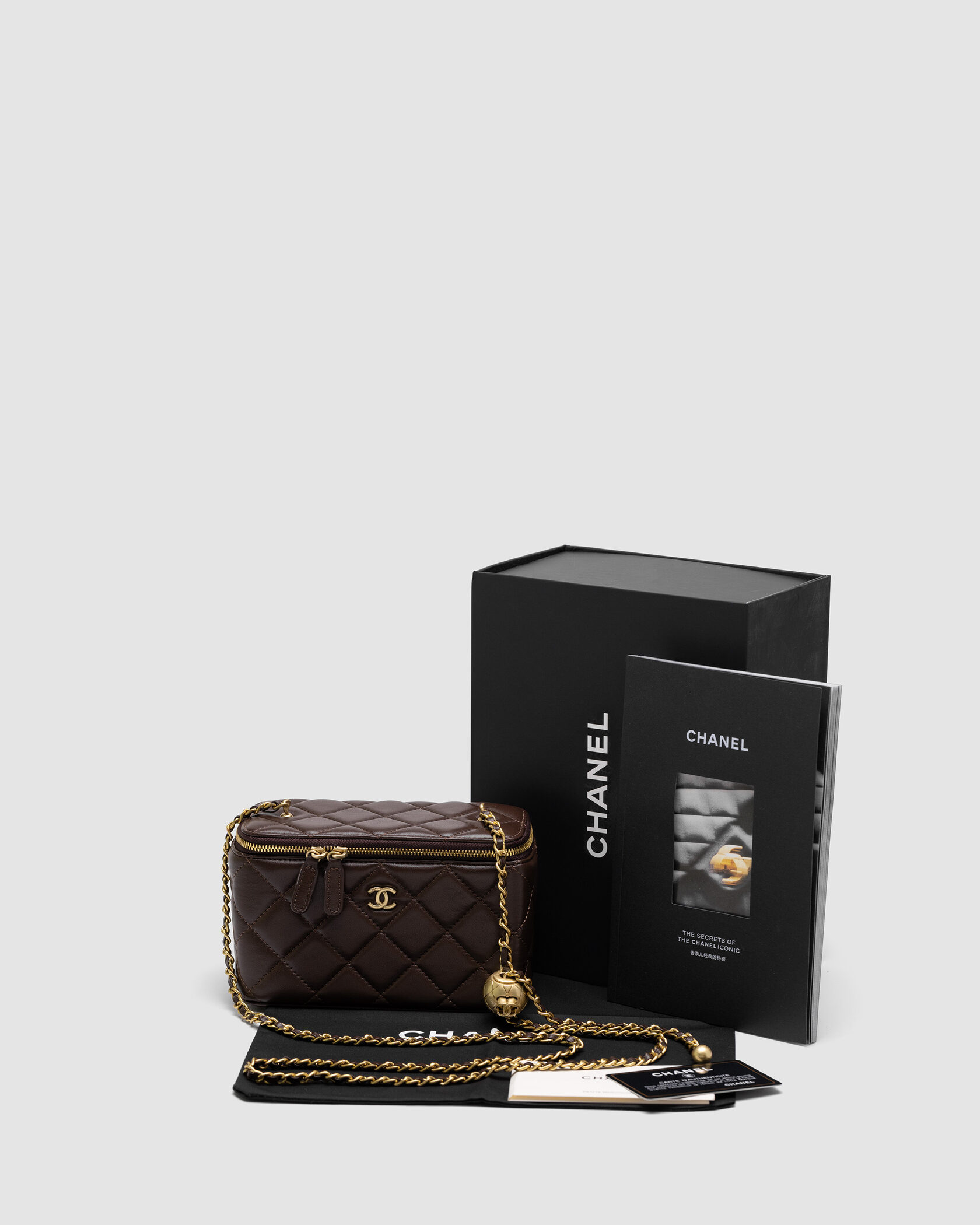 Chanel Classic Brown Lambskin Pearl Crush Vanity Bag Gold - 2