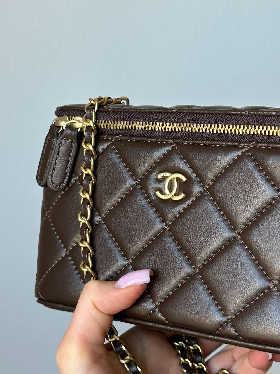 Chanel Classic Brown Lambskin Pearl Crush Vanity Bag Gold - 5