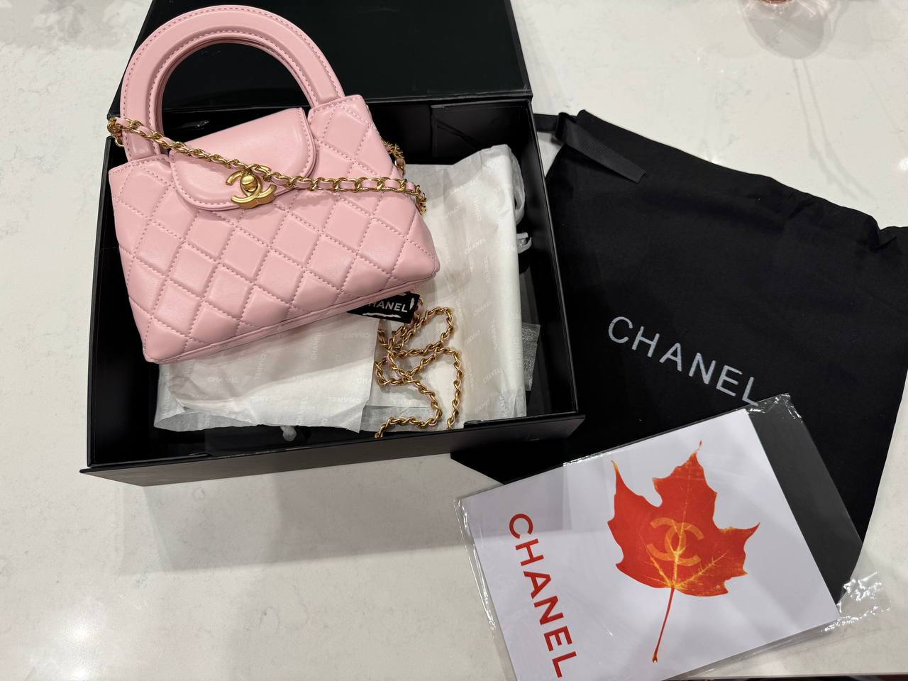 Chanel Kelly Bag Shiny Aged Calfskin Powder&amp; Gold Hardware - 2