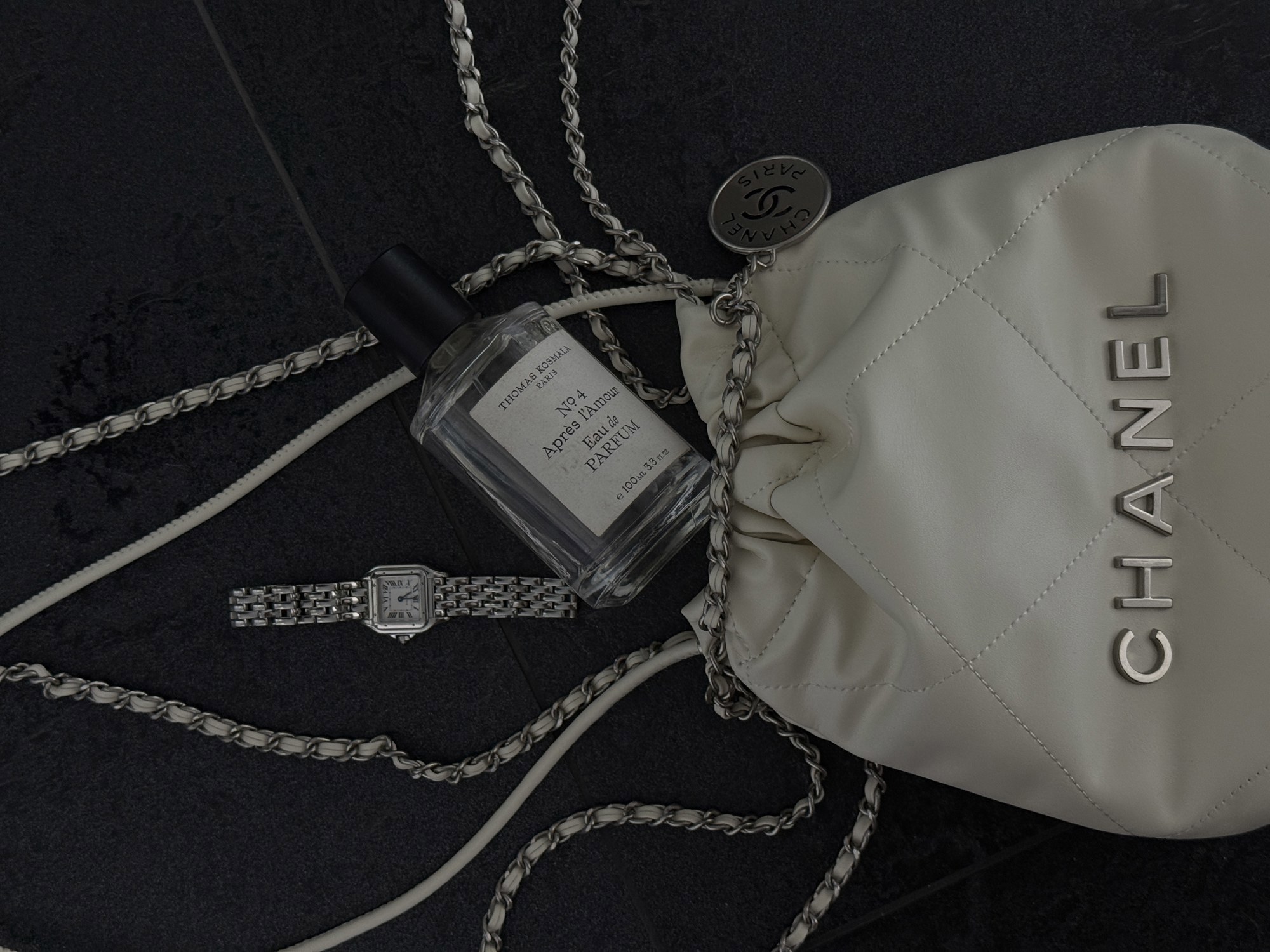 Chanel Milk Quilted Calfskin Mini 20 Bag Silver Hardware Магнітна - 11