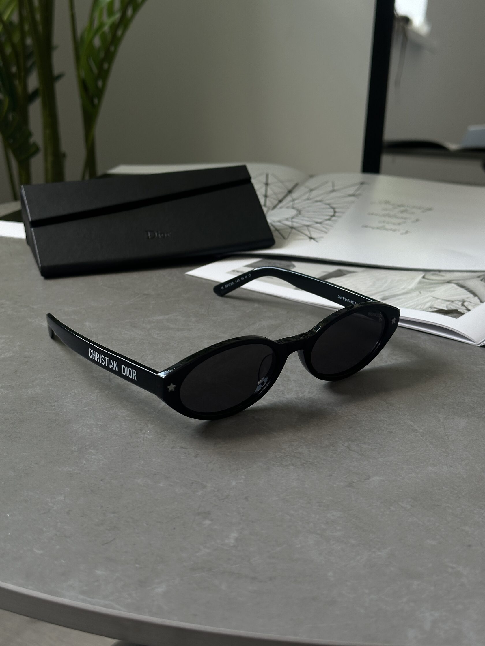 Christian Dior Black/Black Dior Pacific R1F - 3