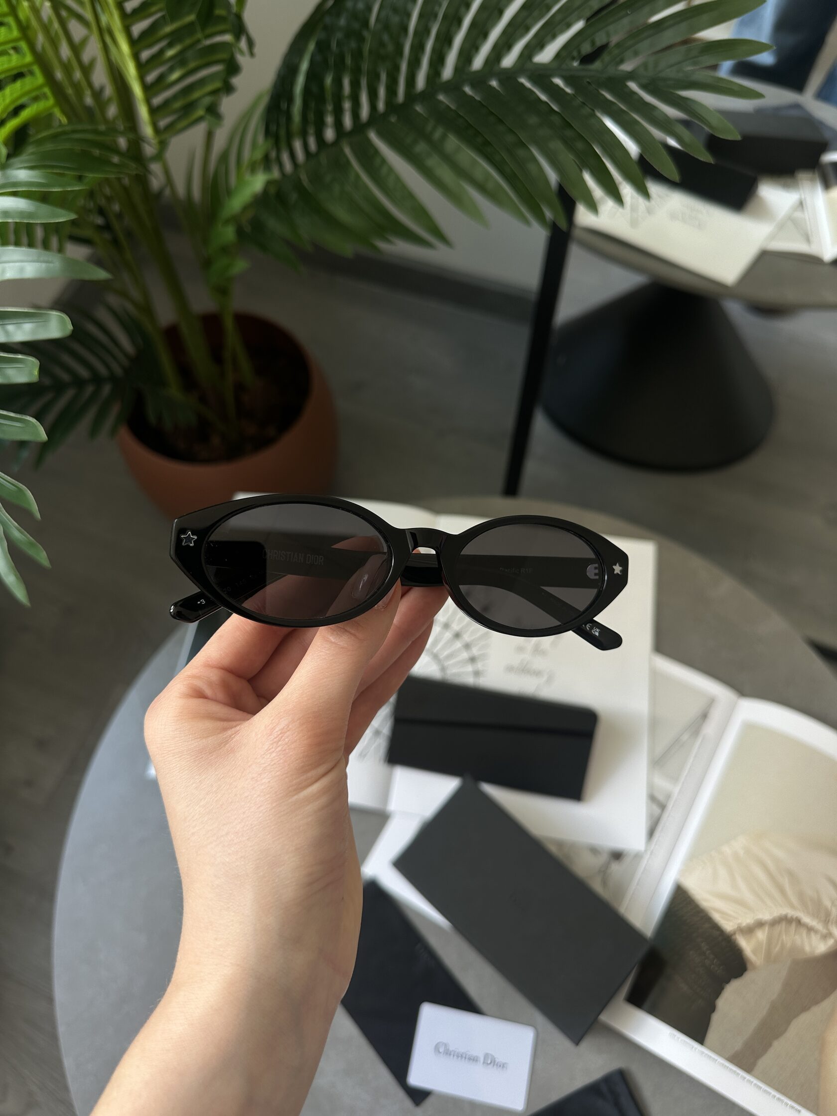 Christian Dior Black/Black Dior Pacific R1F - 7