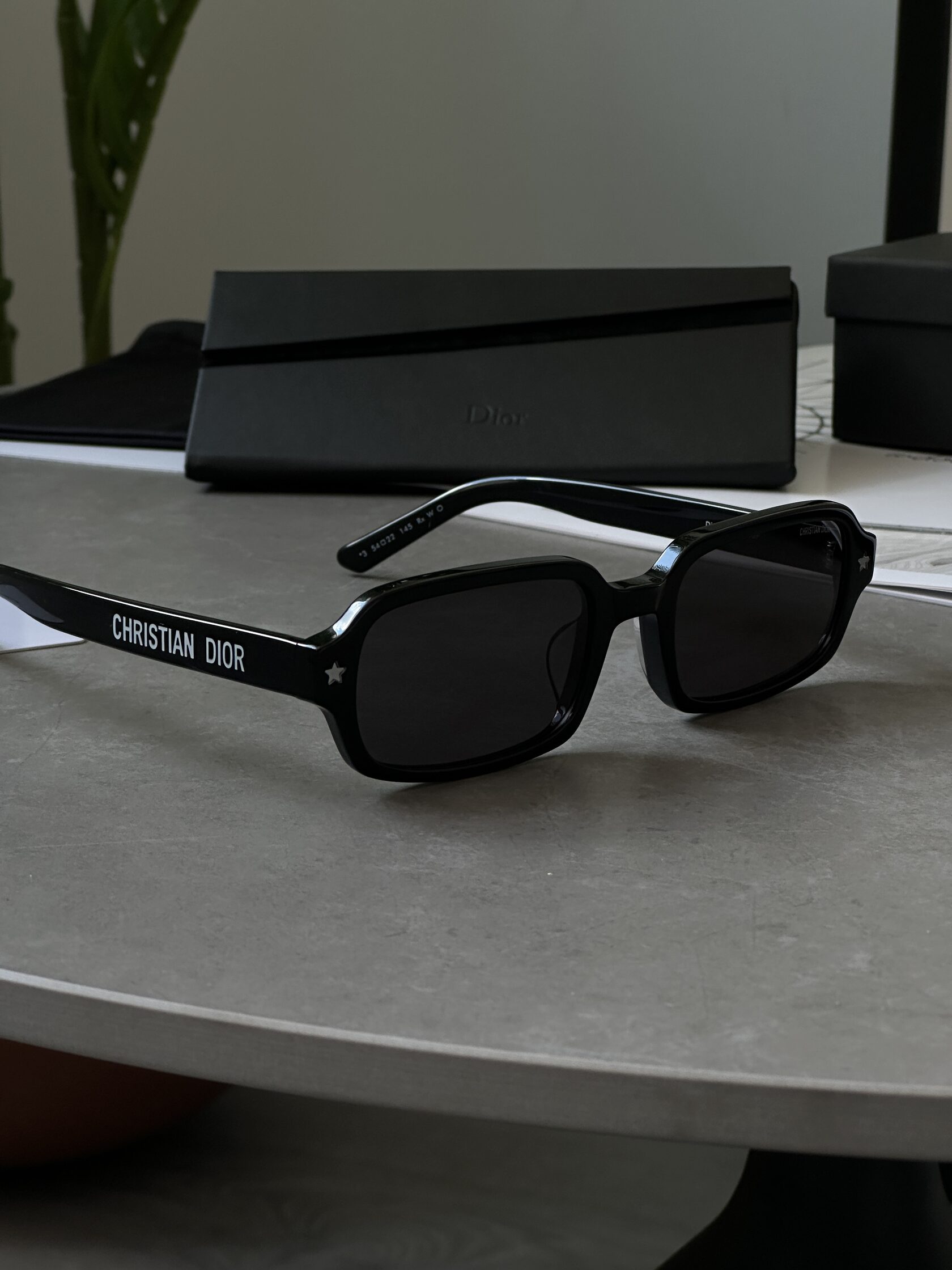 Christian Dior Black/Black Dior Pacific S3F - 8