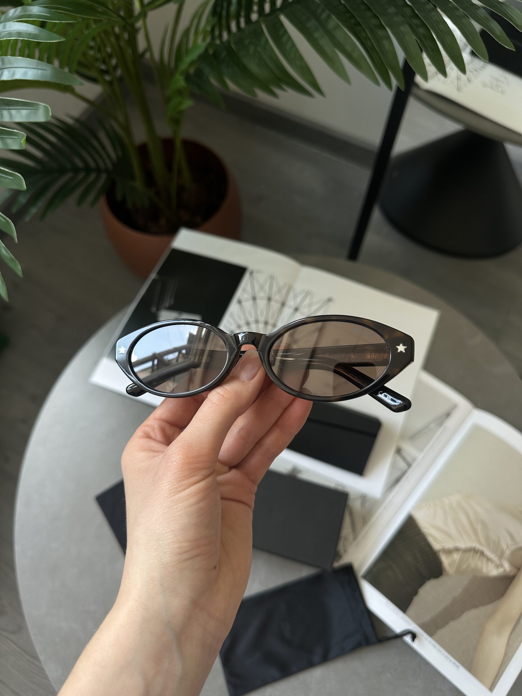 Christian Dior Brown/Leo Dior Pacific R1F - 3