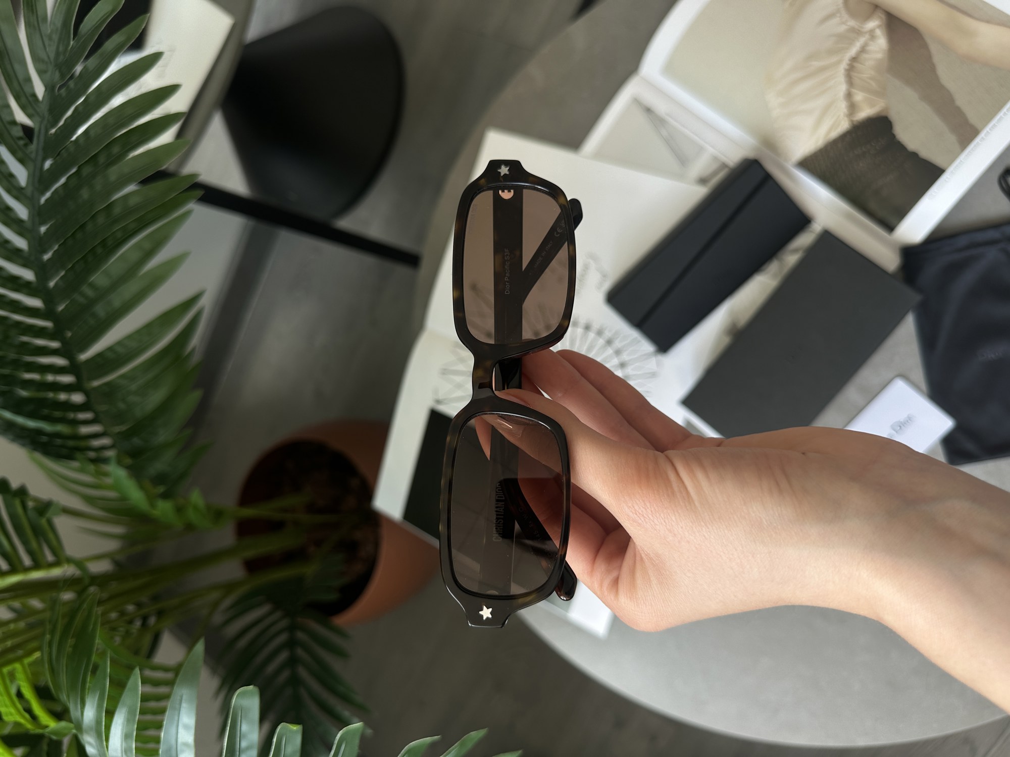 Christian Dior Brown/Leo Dior Pacific S3F - 5