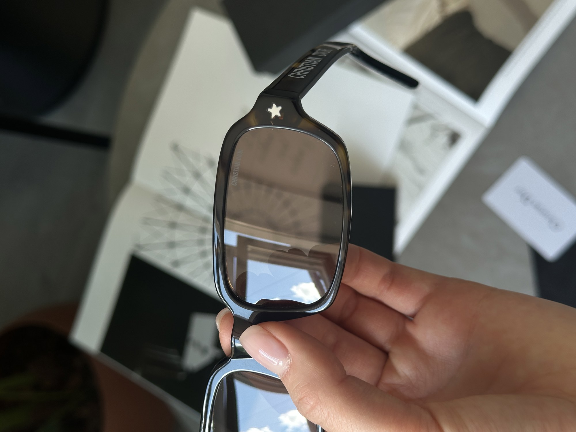 Christian Dior Brown/Leo Dior Pacific S3F - 9