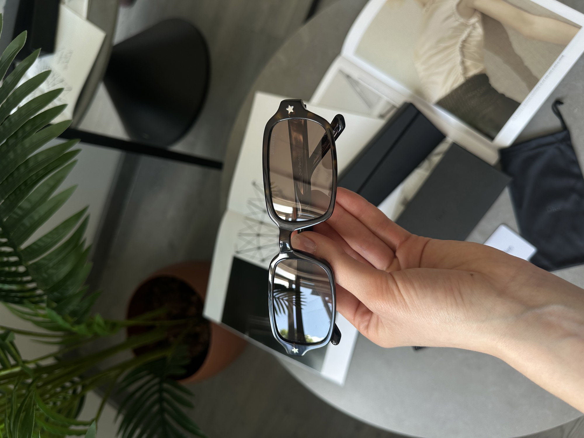 Christian Dior Brown/Leo Dior Pacific S3F - 3