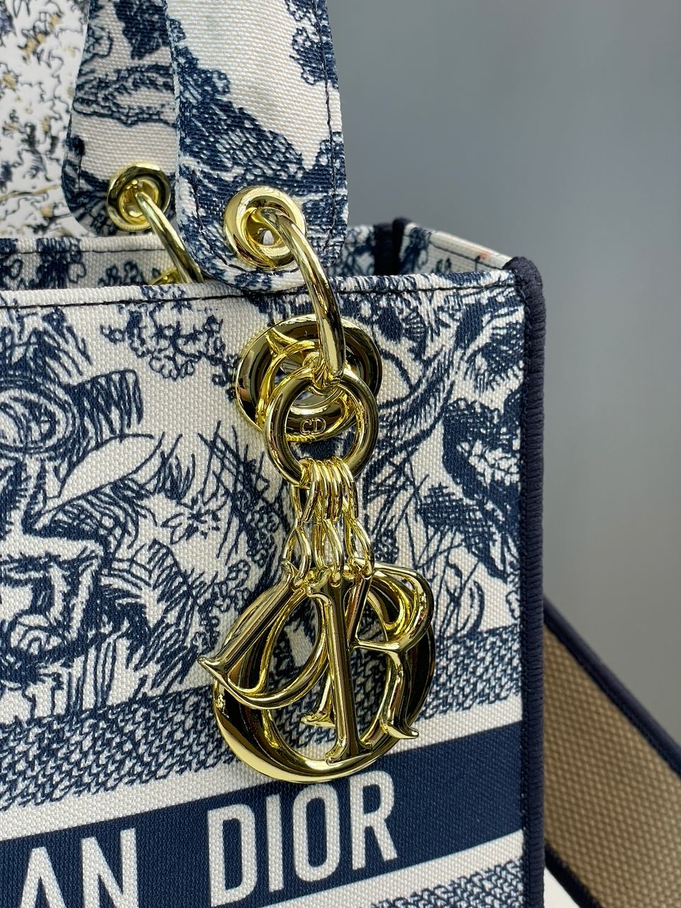 Christian Dior Medium Lady D-Lite Bag Blue/White - 10