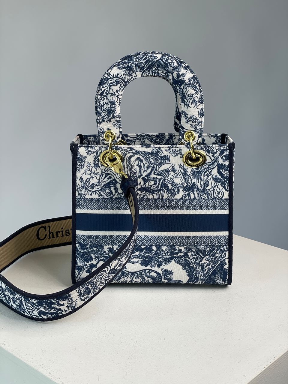 Christian Dior Medium Lady D-Lite Bag Blue/White - 15