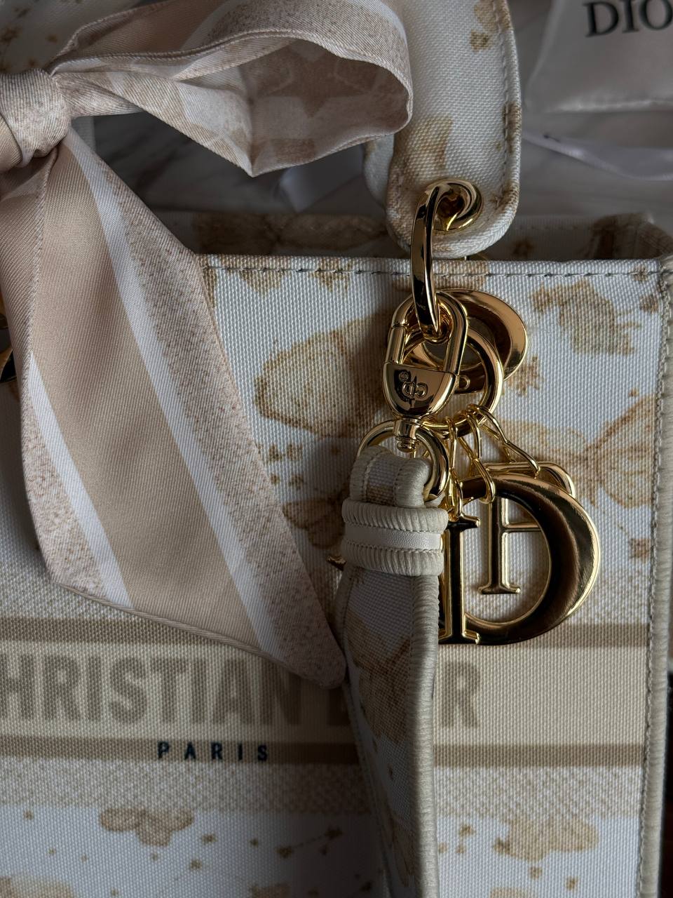 Christian Dior Medium Lady Dior Butterfly Embroidered Canvas Bag in Off-White/Beige - 4