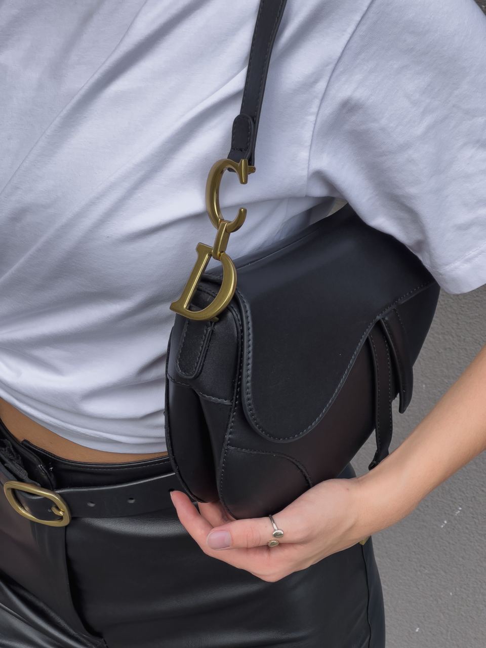 Christian Dior Saddle Calfskin Bag - 19