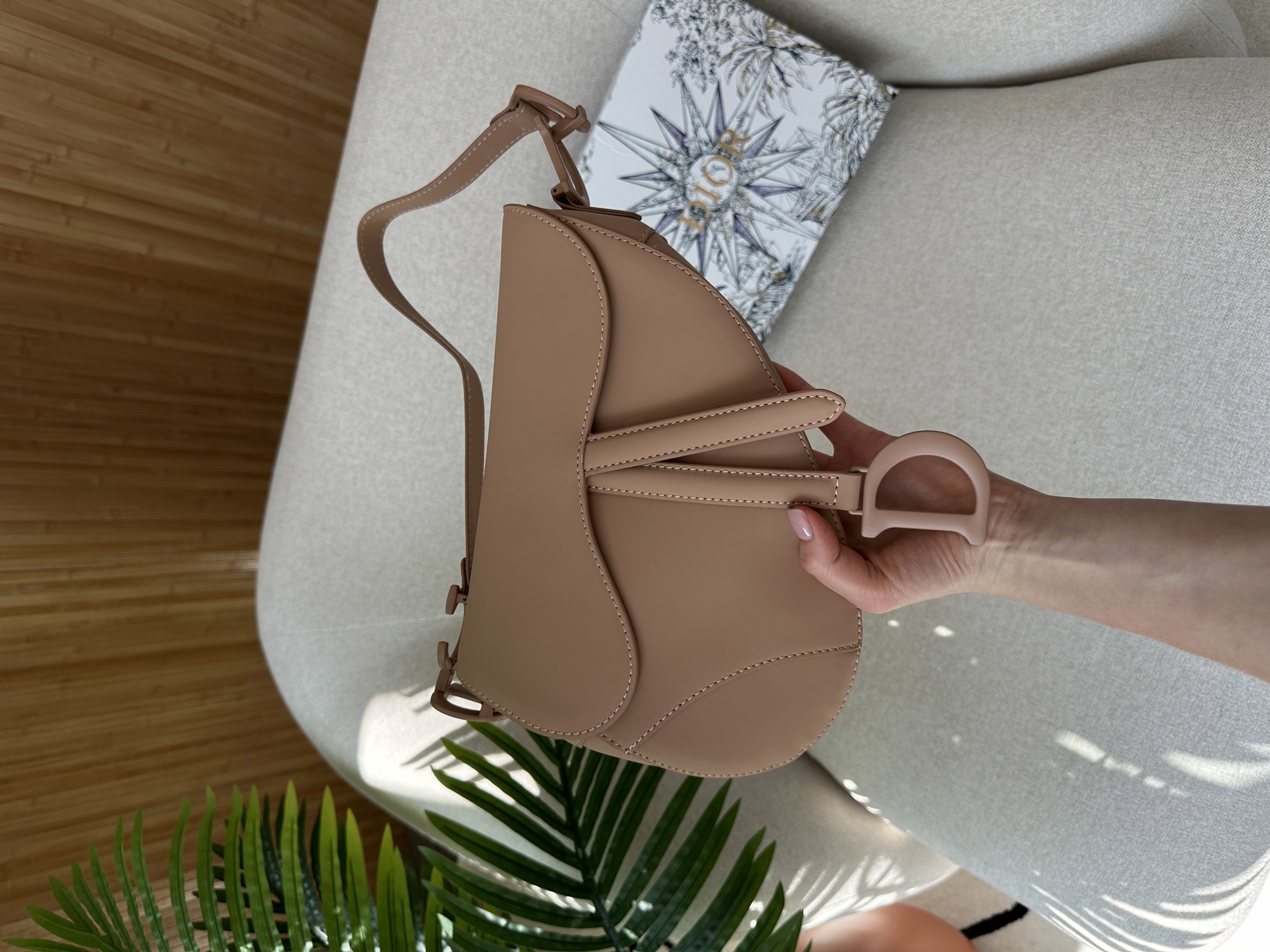 Christian Dior Ultra Matte Calfskin Saddle Bag Beige - 13