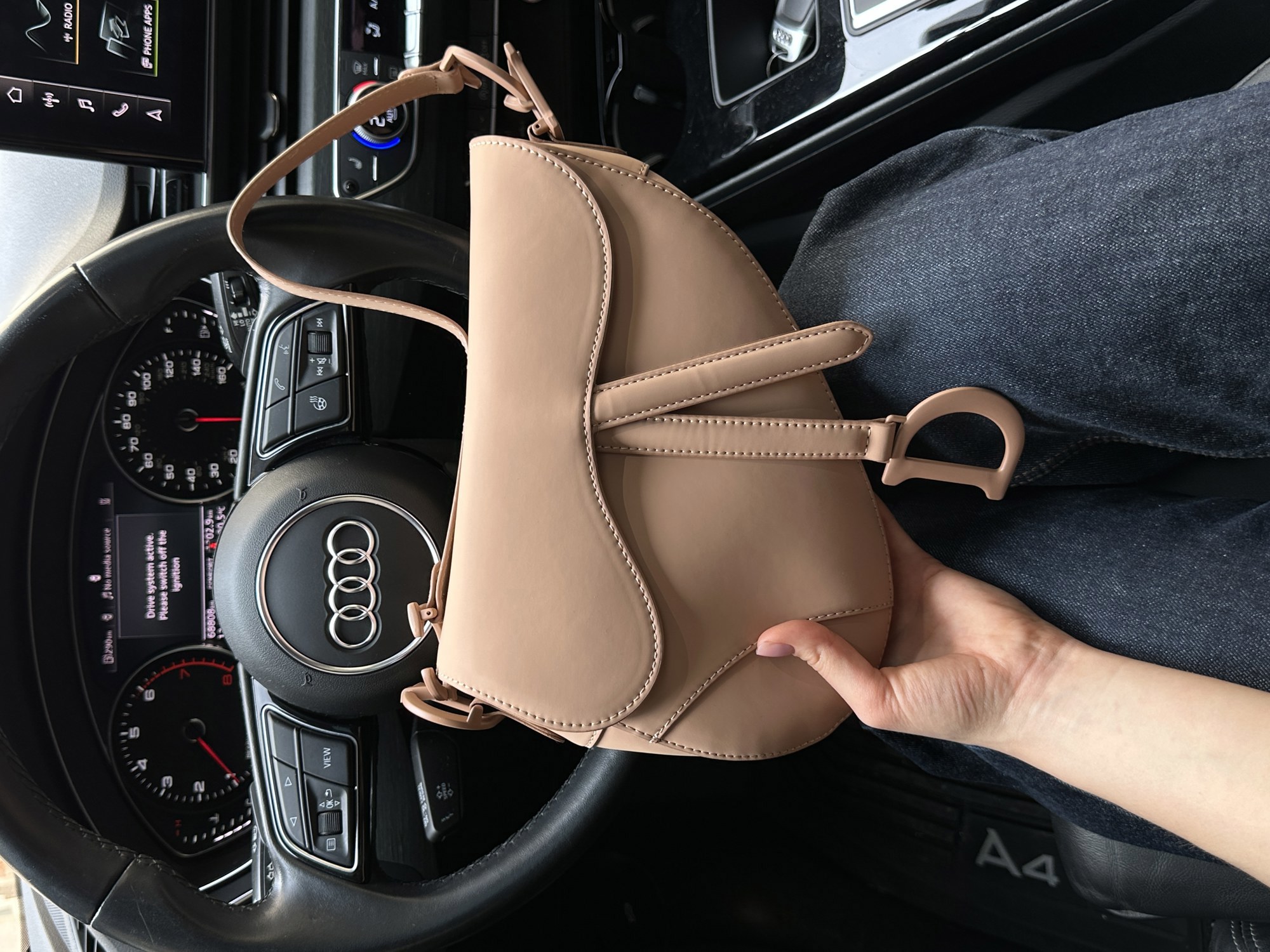 Christian Dior Ultra Matte Calfskin Saddle Bag Beige - 10