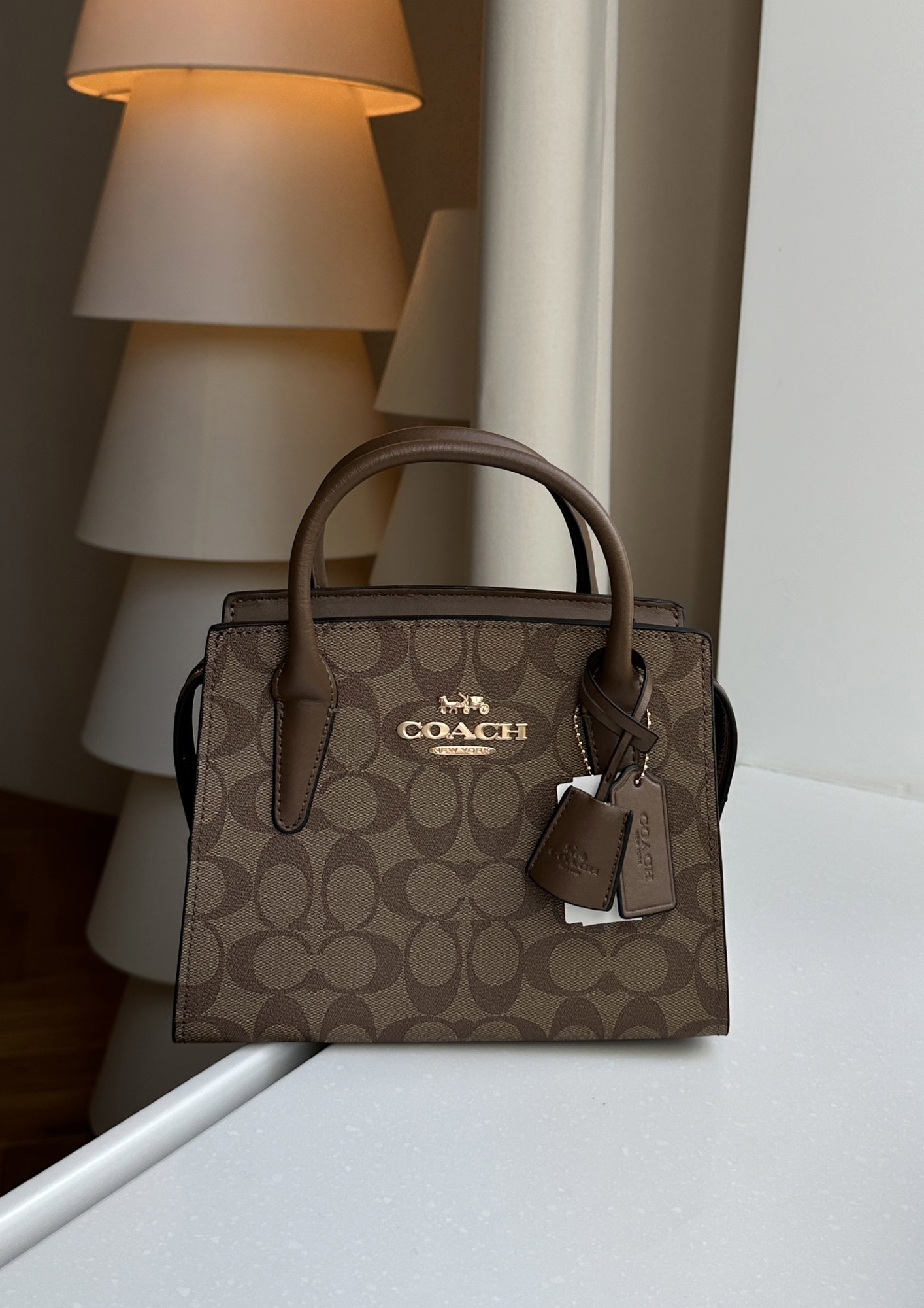 Coach Andrea Carryall In Signature Canvas Beige - 7