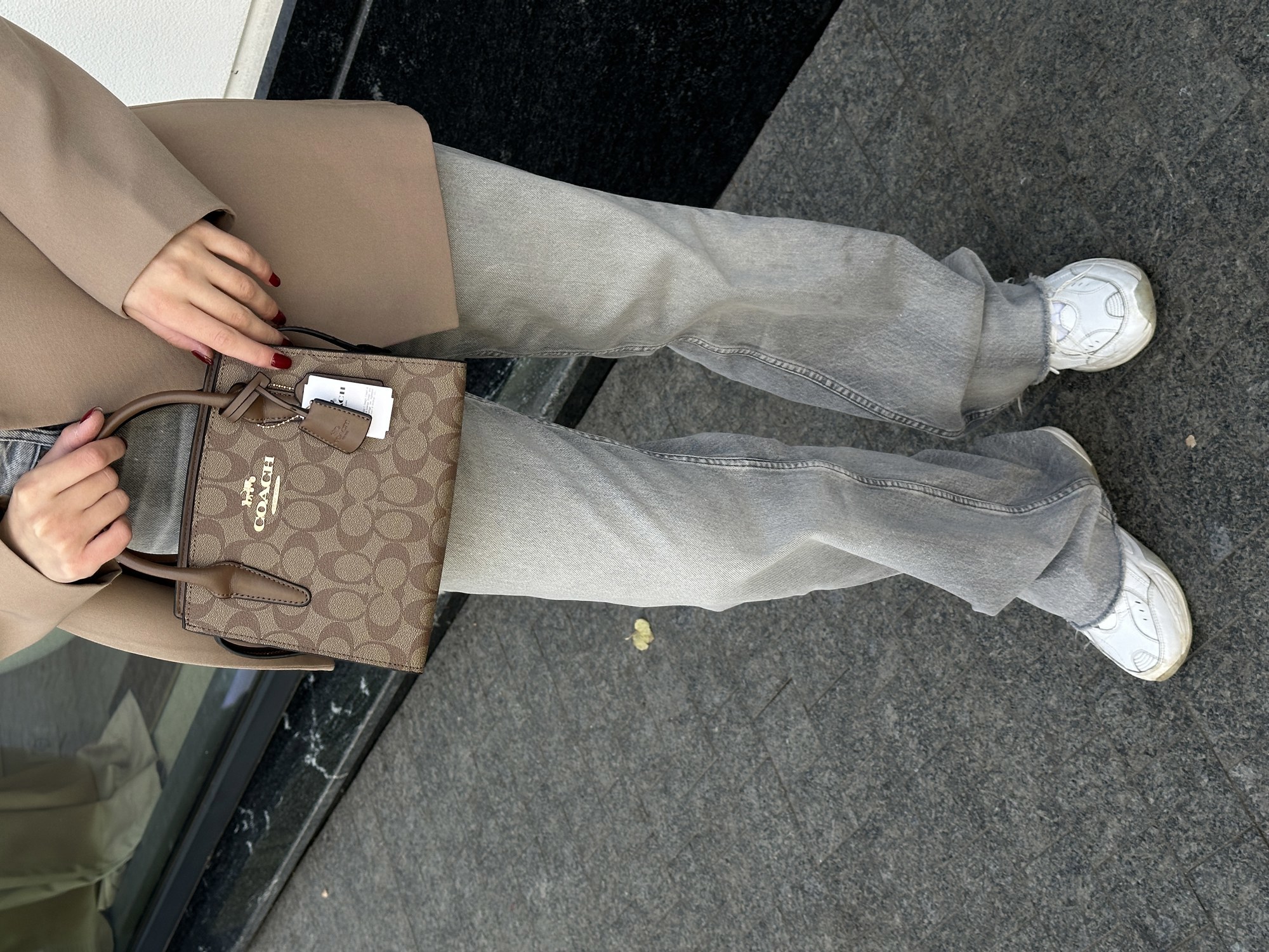 Coach Andrea Carryall In Signature Canvas Beige - 12