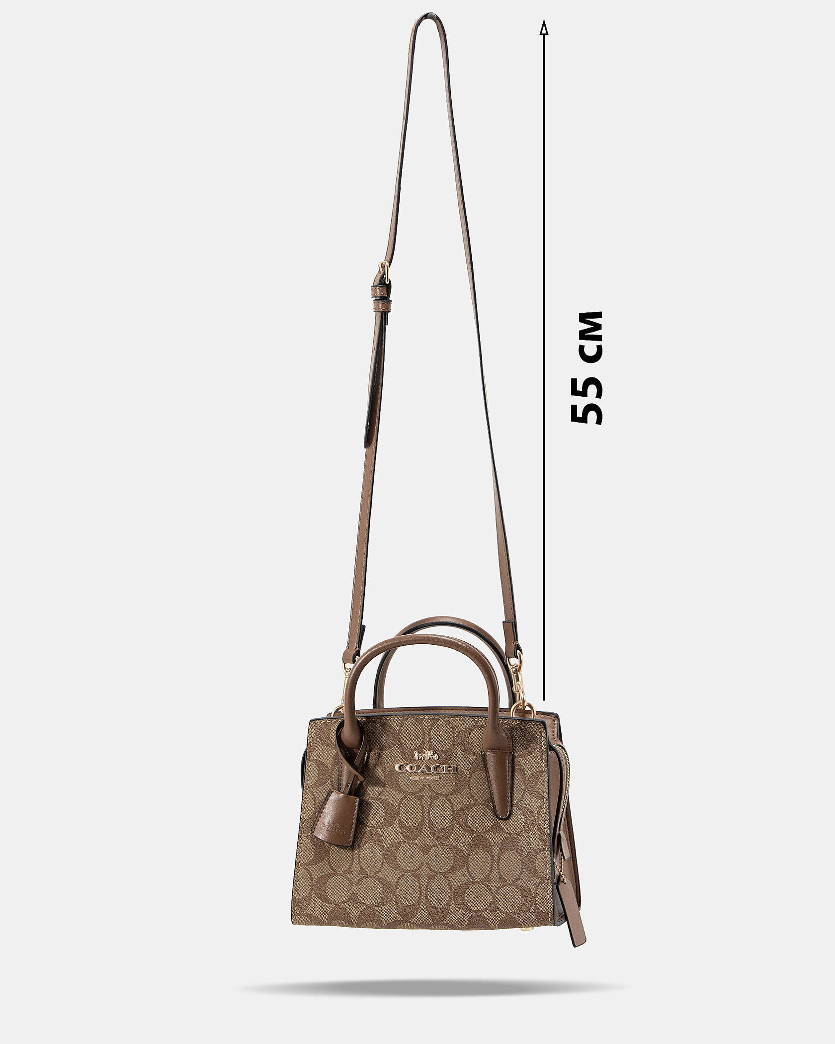 Coach Andrea Carryall In Signature Canvas Beige - 4