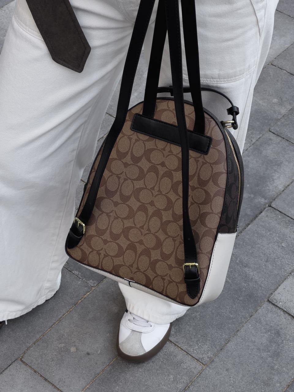 Coach Court Backpack in Signature Canvas - 14