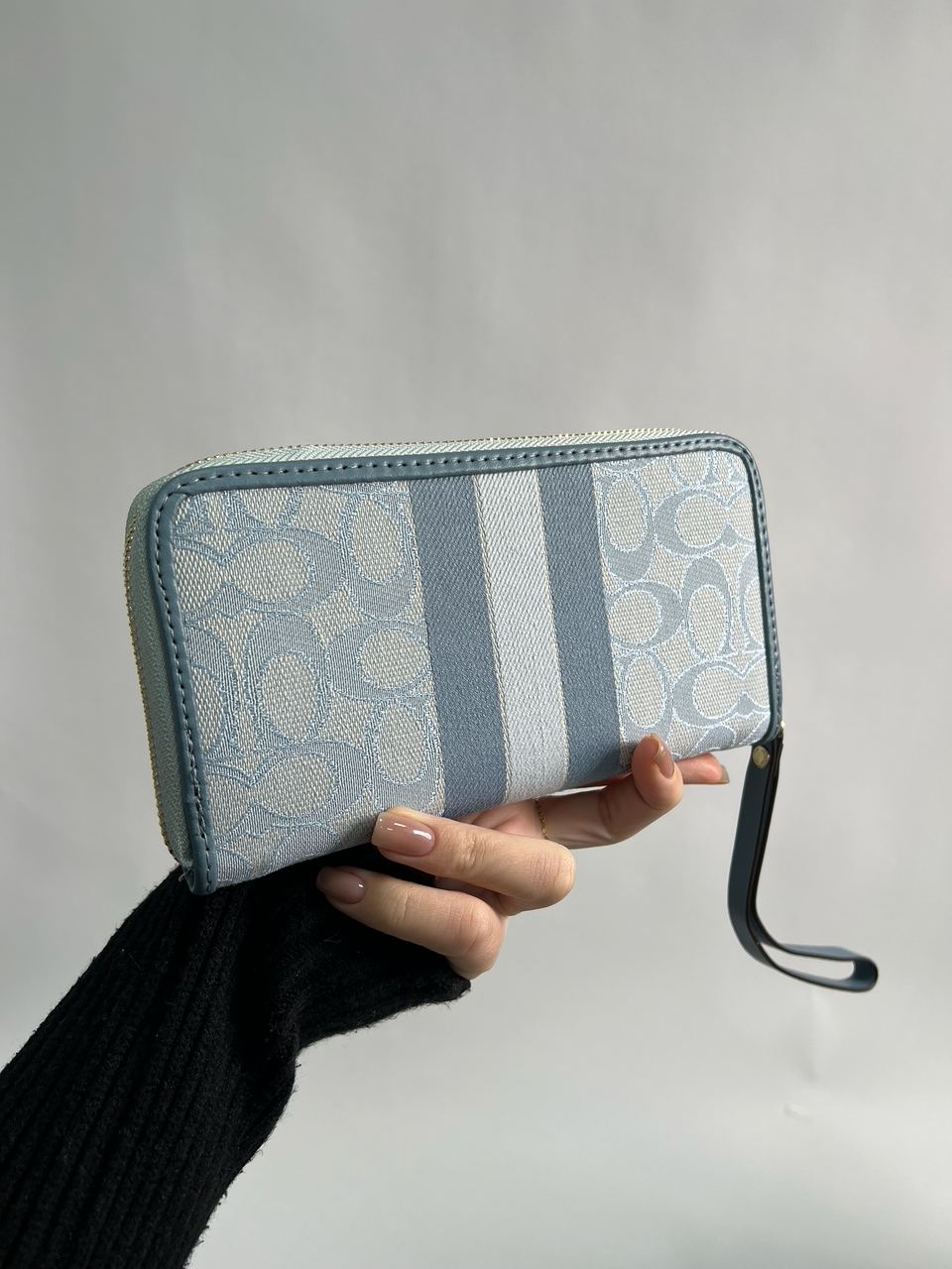 Coach Dempsey Large Wallet In Signature Jacquard Blue - 10