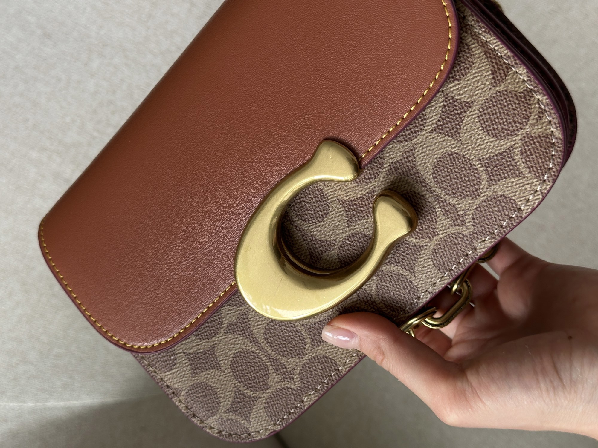 Coach Idol Bag In Signature Canvas With Snakeskin Detail - 15